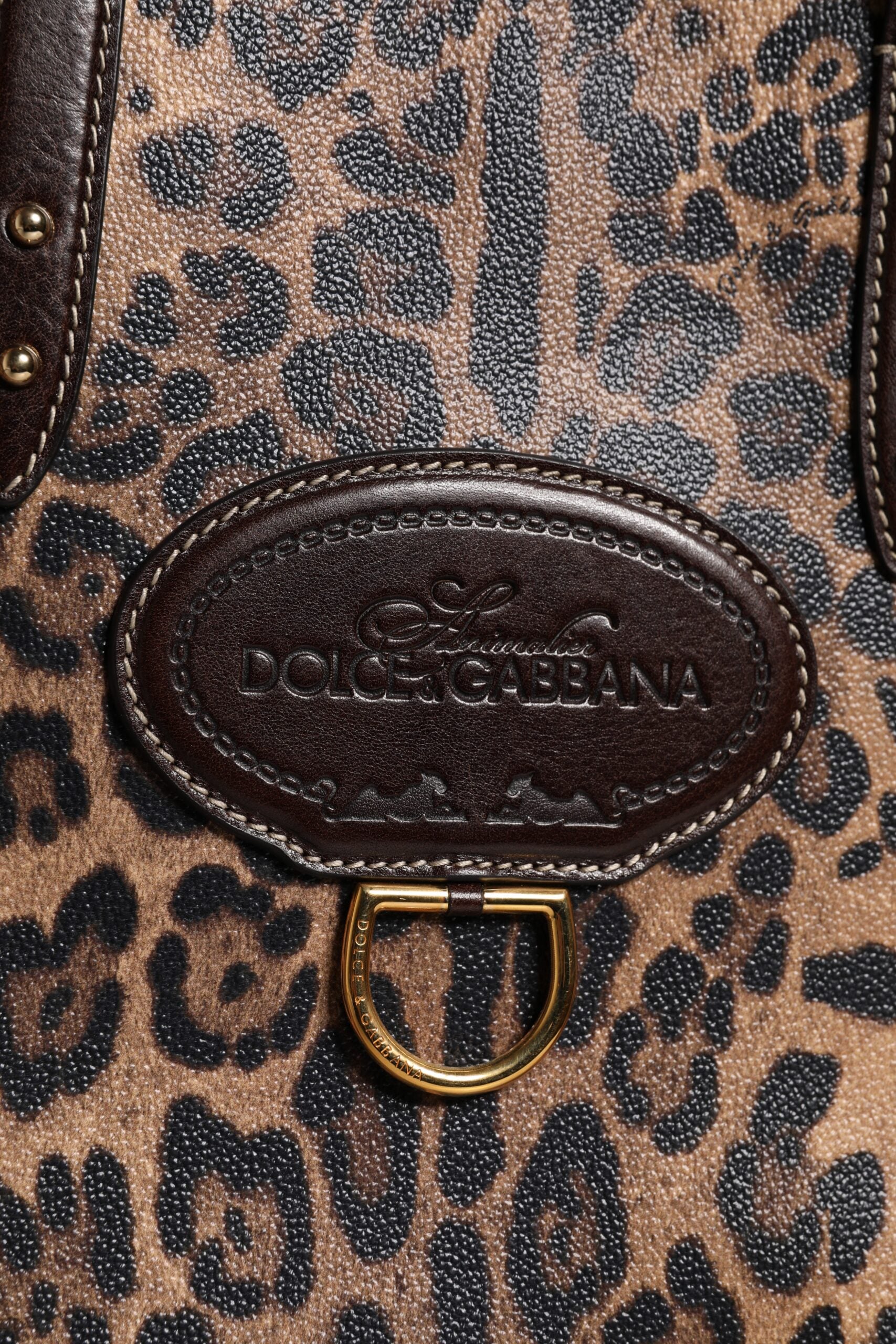 Dolce & Gabbana Brown Leather Leopard Shoulder Strap Tote Bag
