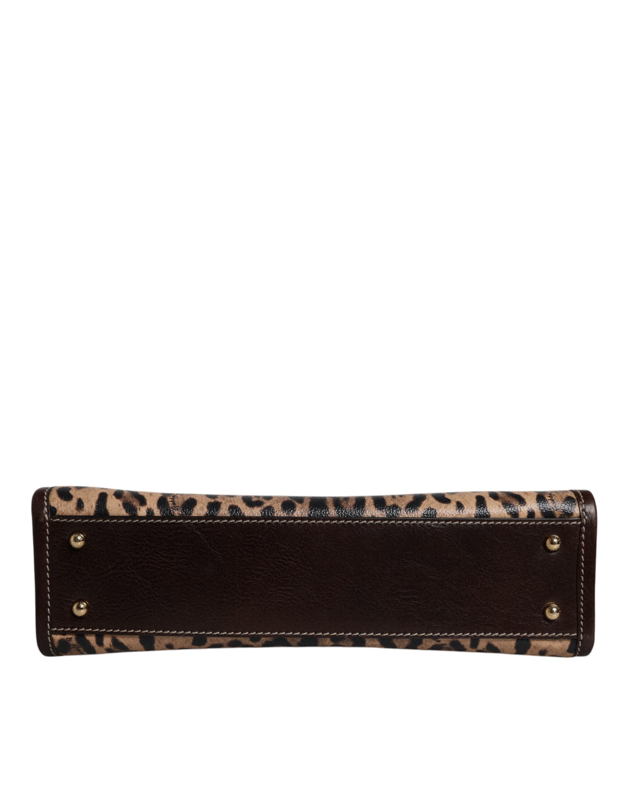 Dolce & Gabbana Brown Leather Leopard Shoulder Strap Tote Bag