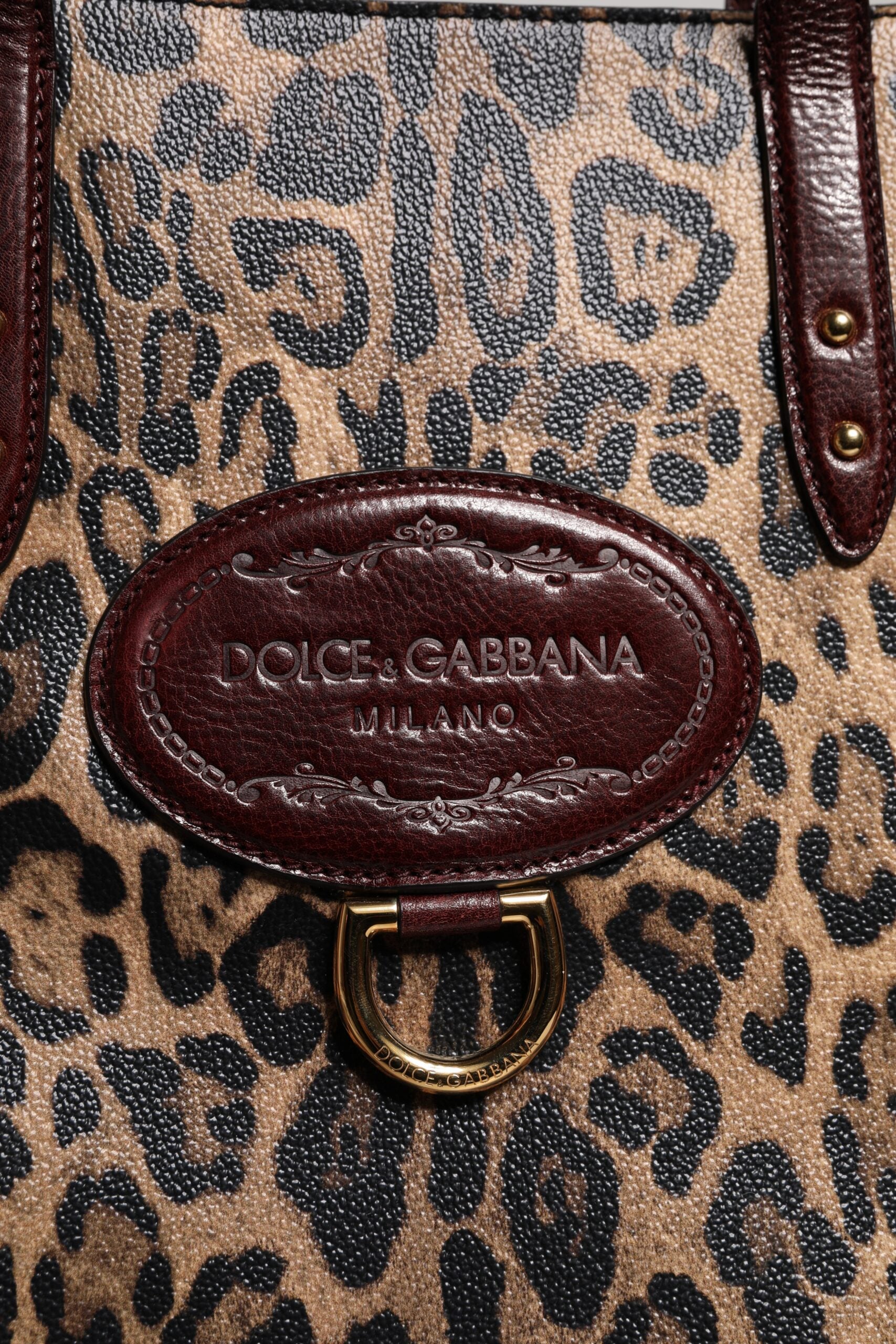 Dolce & Gabbana Brown Leather Leopard Shoulder Strap Tote Bag