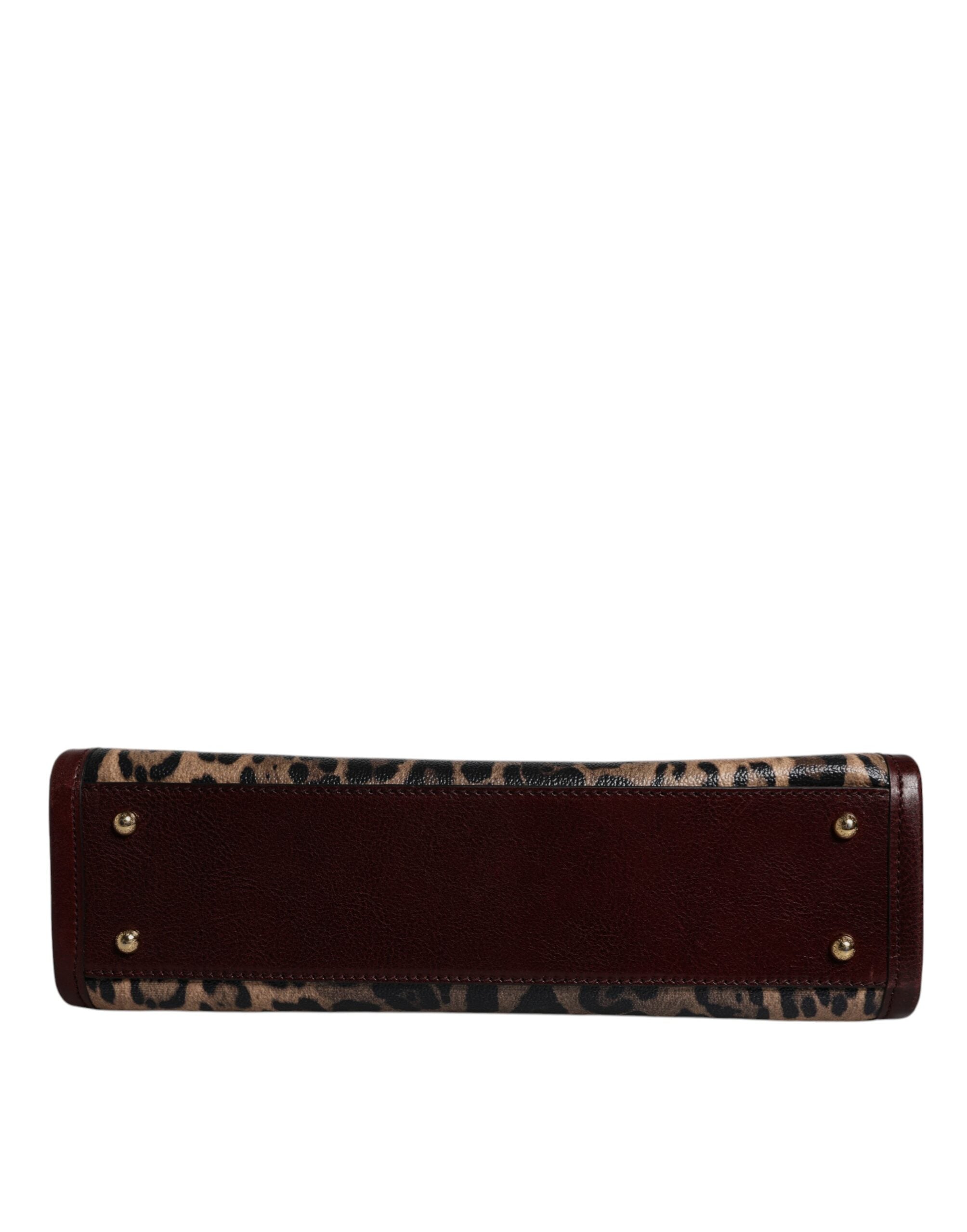Dolce & Gabbana Brown Leather Leopard Shoulder Strap Tote Bag