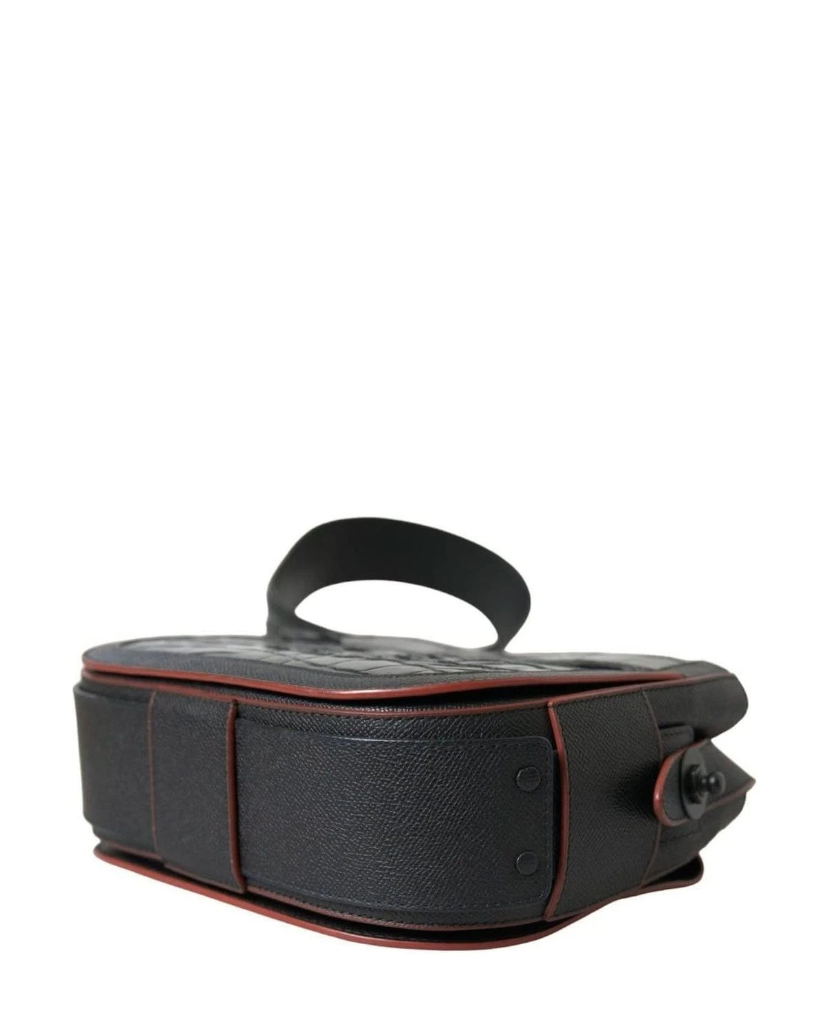 Balenciaga Elegant Exotic Leather Camera Bag Handbags