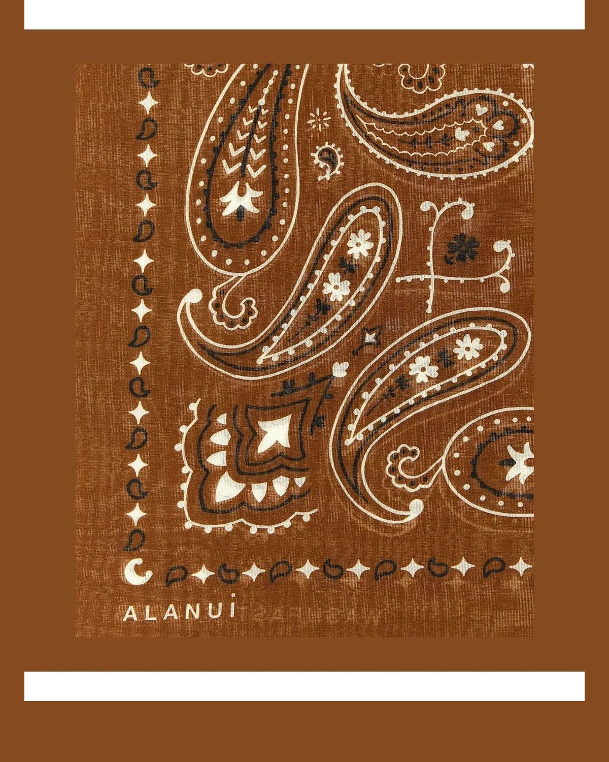 Alanui Scarves & Shawl in brown, Cotton — view 3