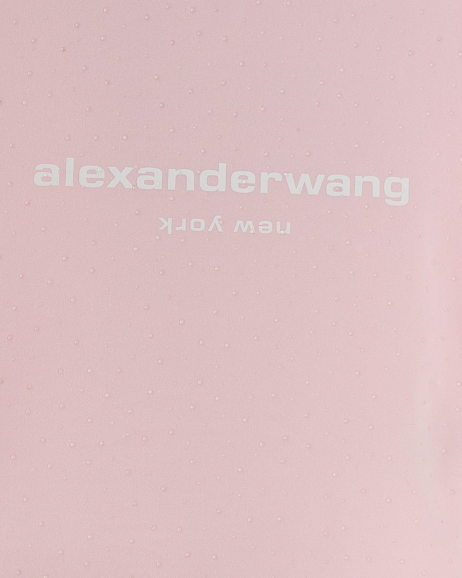 Alexander Wang Logo Baby Tee T-shirt Glam Steals