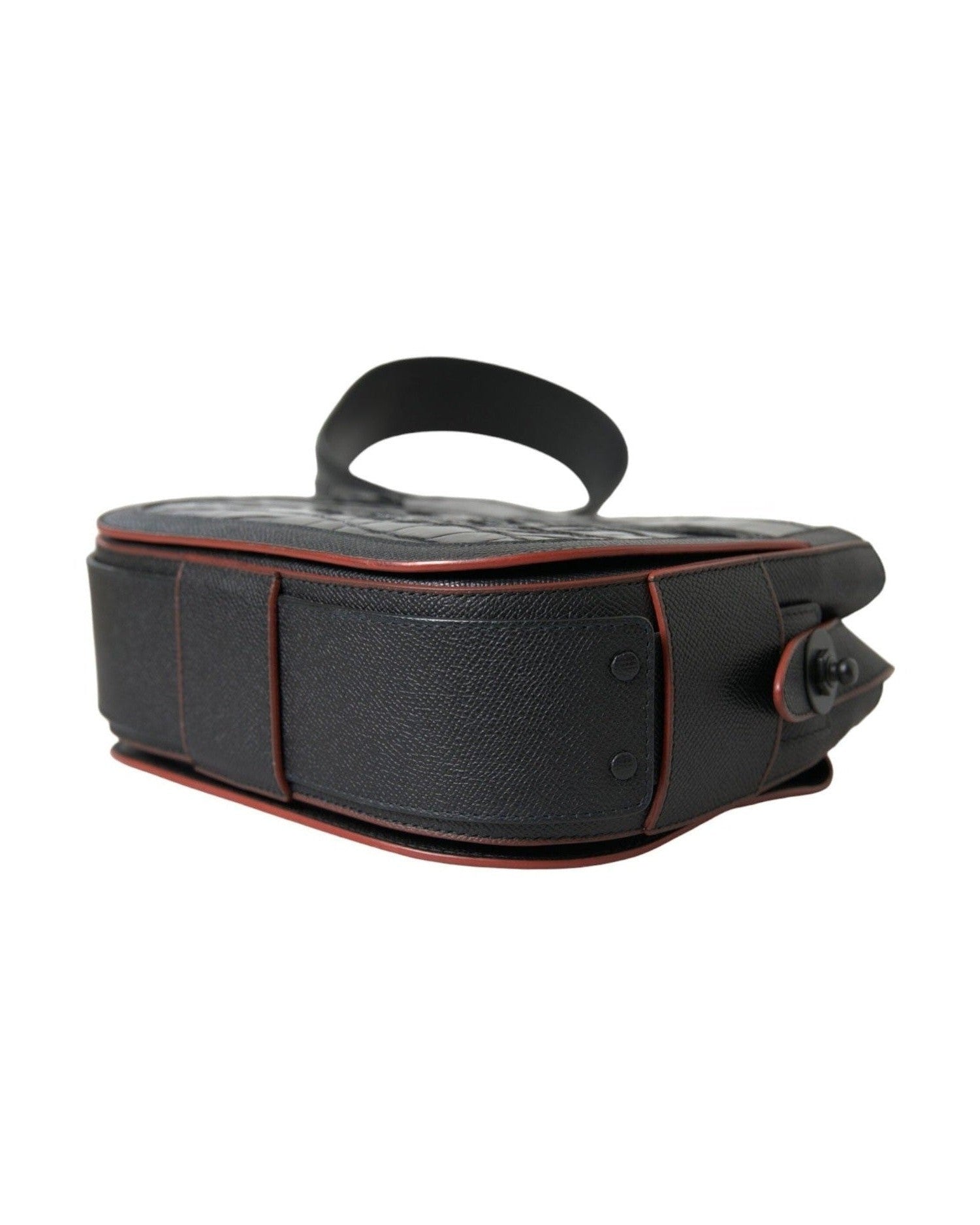 Balenciaga Elegant Exotic Leather Camera Bag Glam Steals