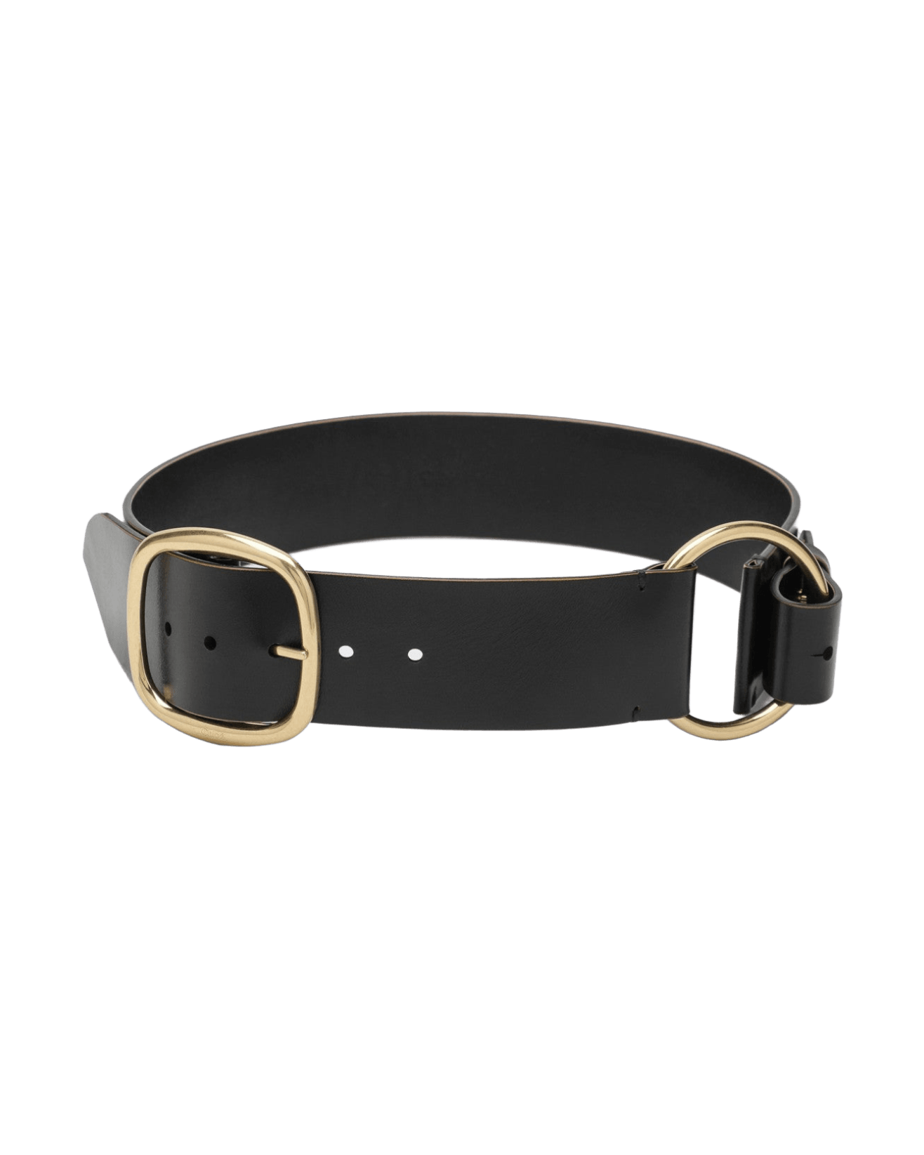Chloé Anita Black Belt Glam Steals