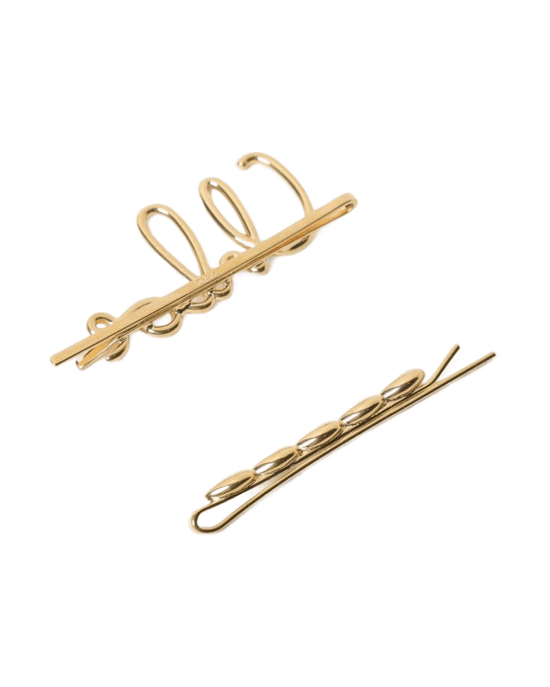 Chloé Brown Metal Hair Clip Glam Steals