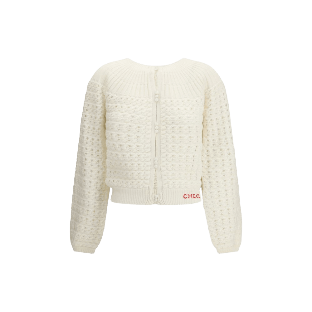 Chloé Buttoned Up Cardigan Glam Steals