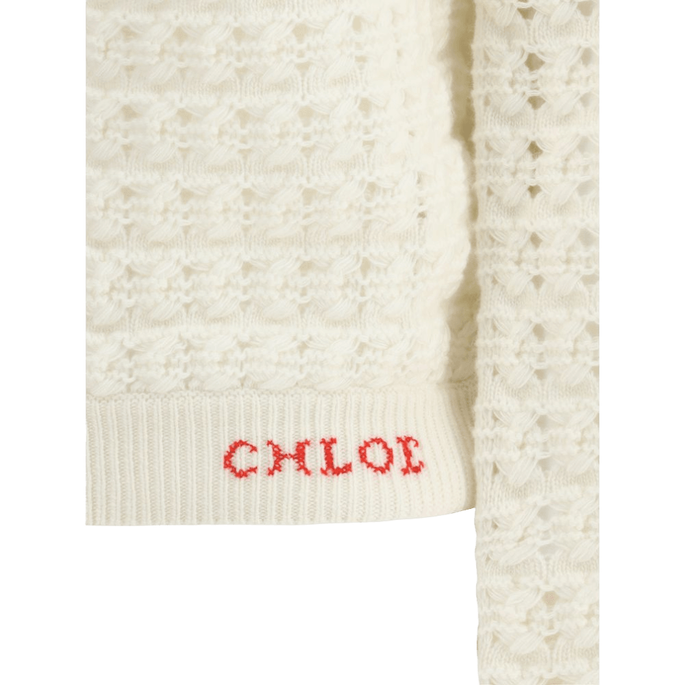 Chloé Buttoned Up Cardigan Glam Steals