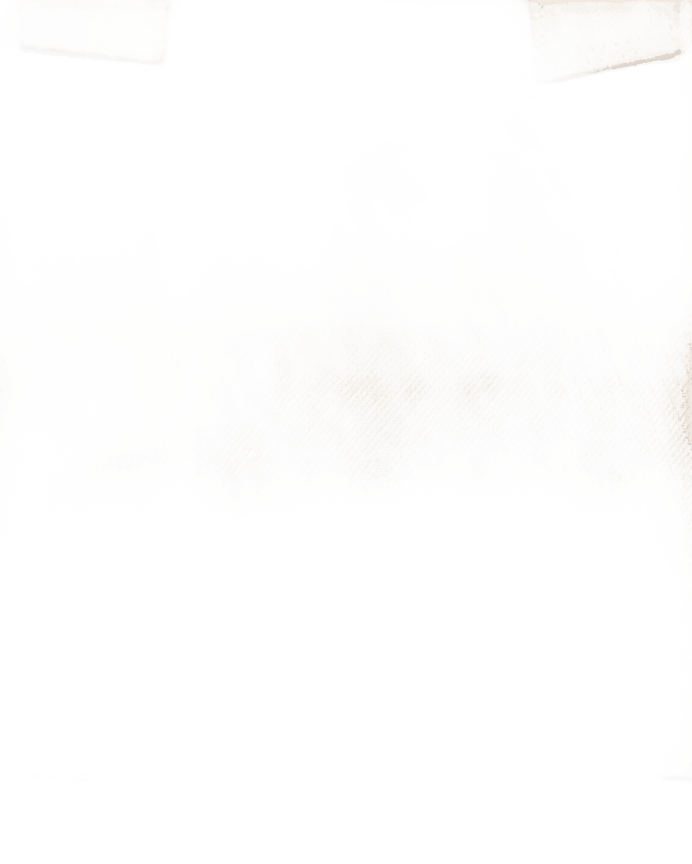 Chloé Canvas Carry Tote Bag Glam Steals