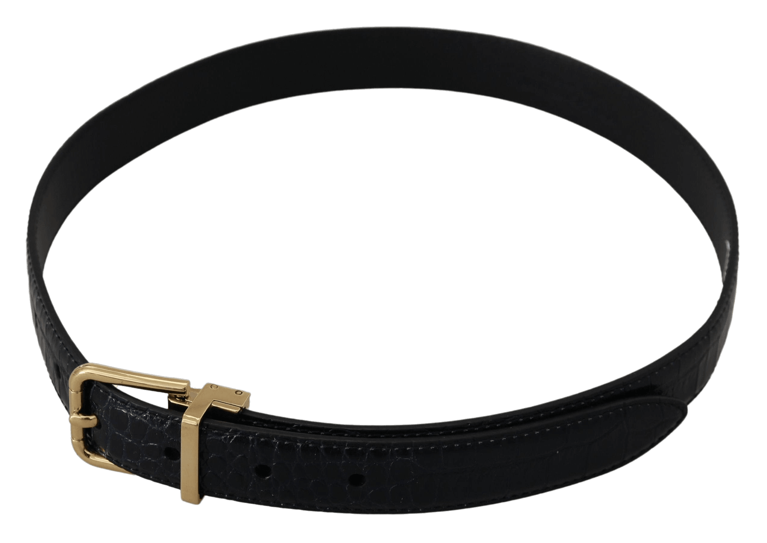 Dolce & Gabbana Black Leather Exotic Gold Metal Buckle Belt Glam Steals