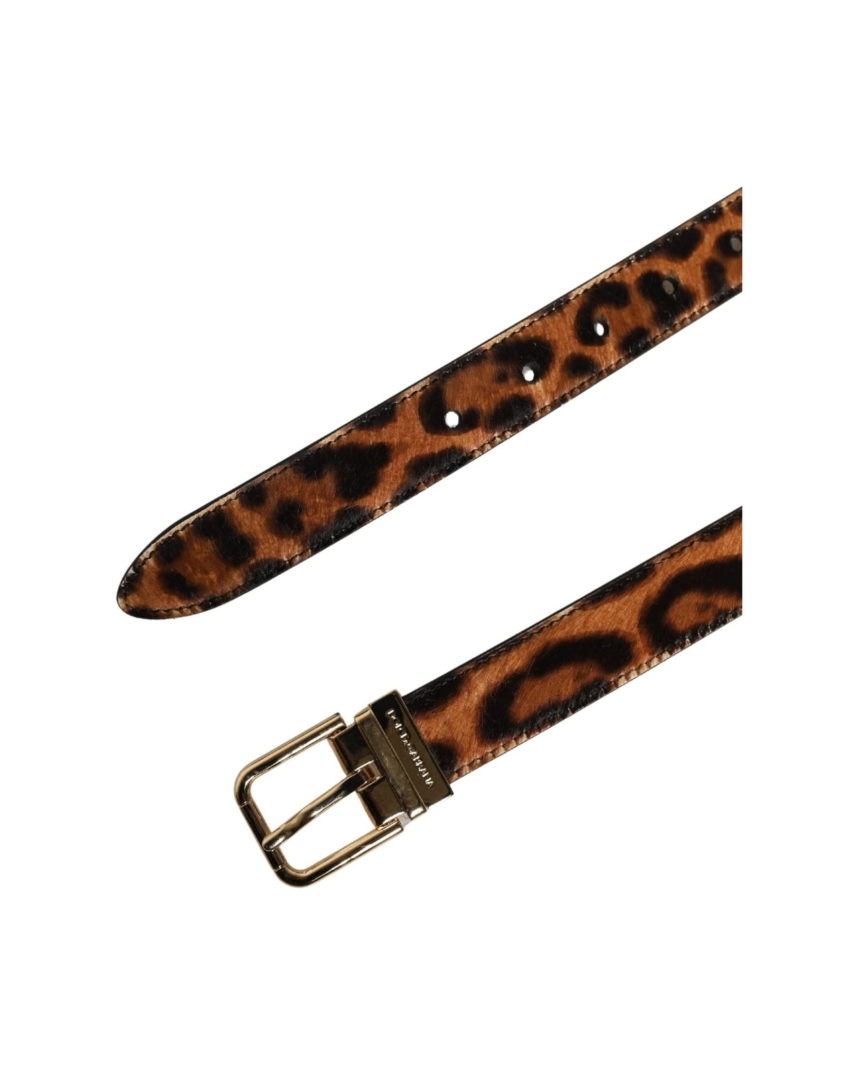 Dolce & Gabbana Brown Calf Fur Leopard Metal Buckle Belt