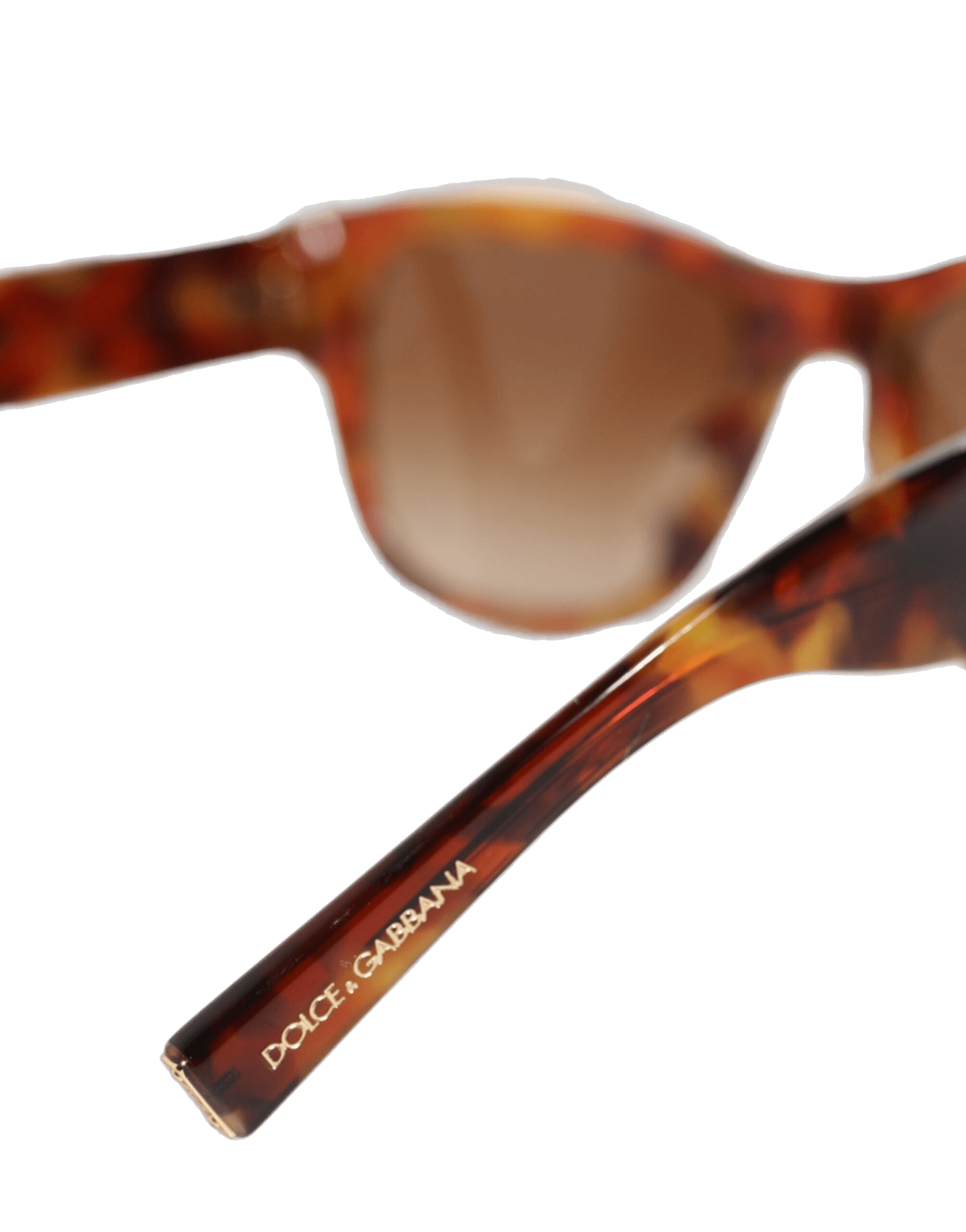 Dolce & Brown Gabbana Dg4338f Havana Full Rim Round Lenses Sunglasses Glam Steals