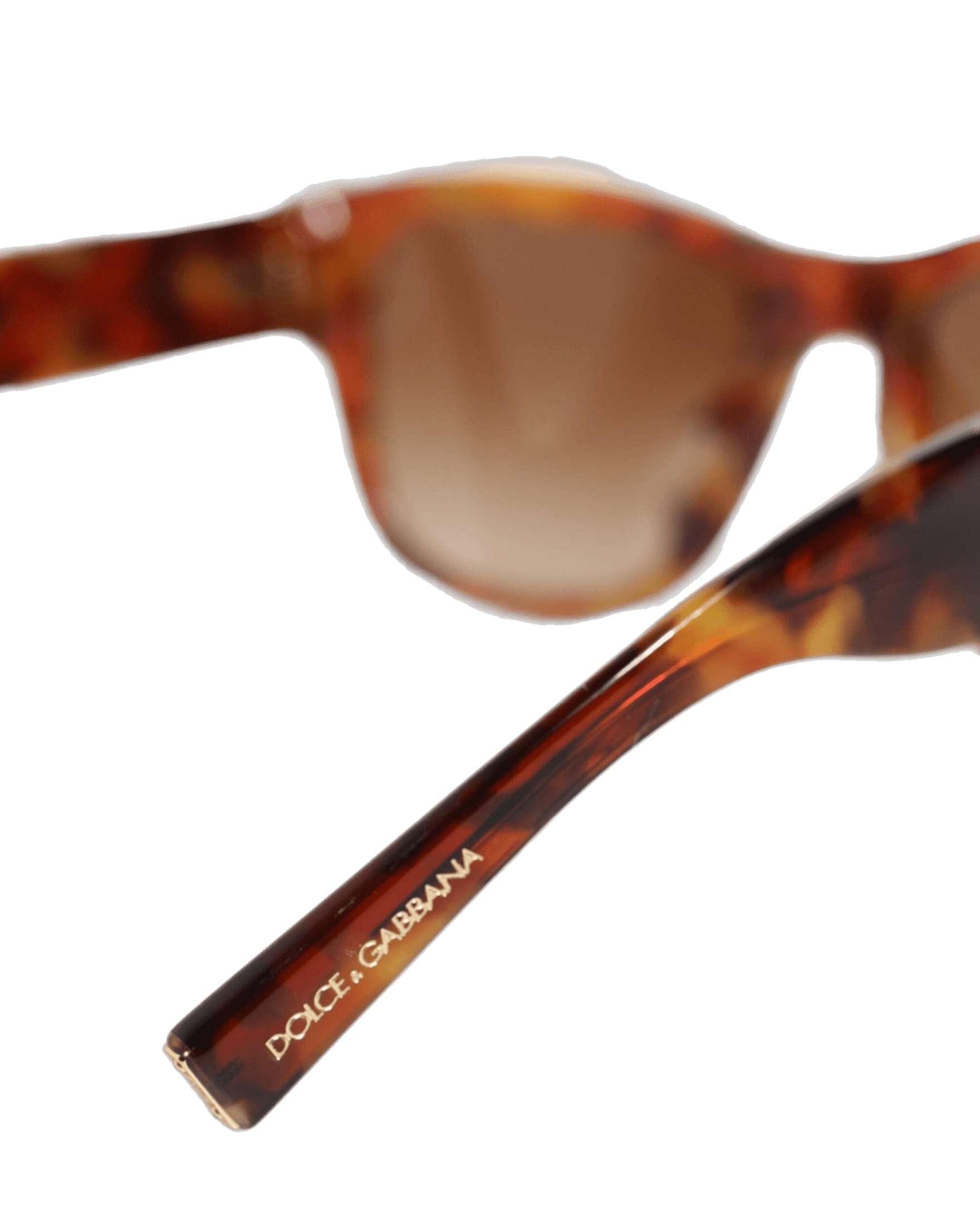Dolce & Gabbana Brown Dg4338f Havana Full Rim Round Lenses Sunglasses Sunglasses