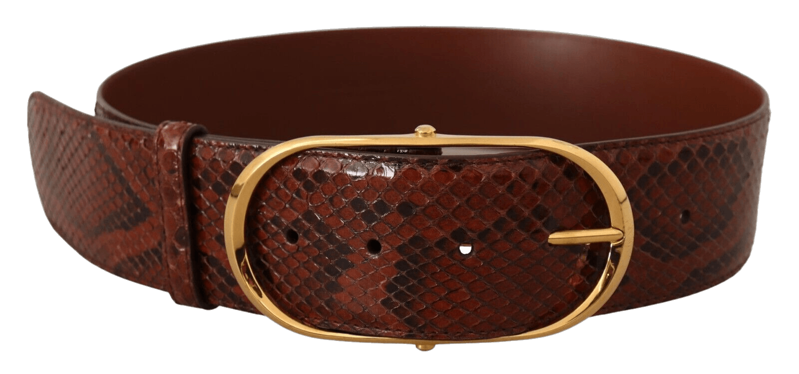 Dolce & Gabbana Brown Leather Exotic Gold Oval Buckle Belt Glam Steals