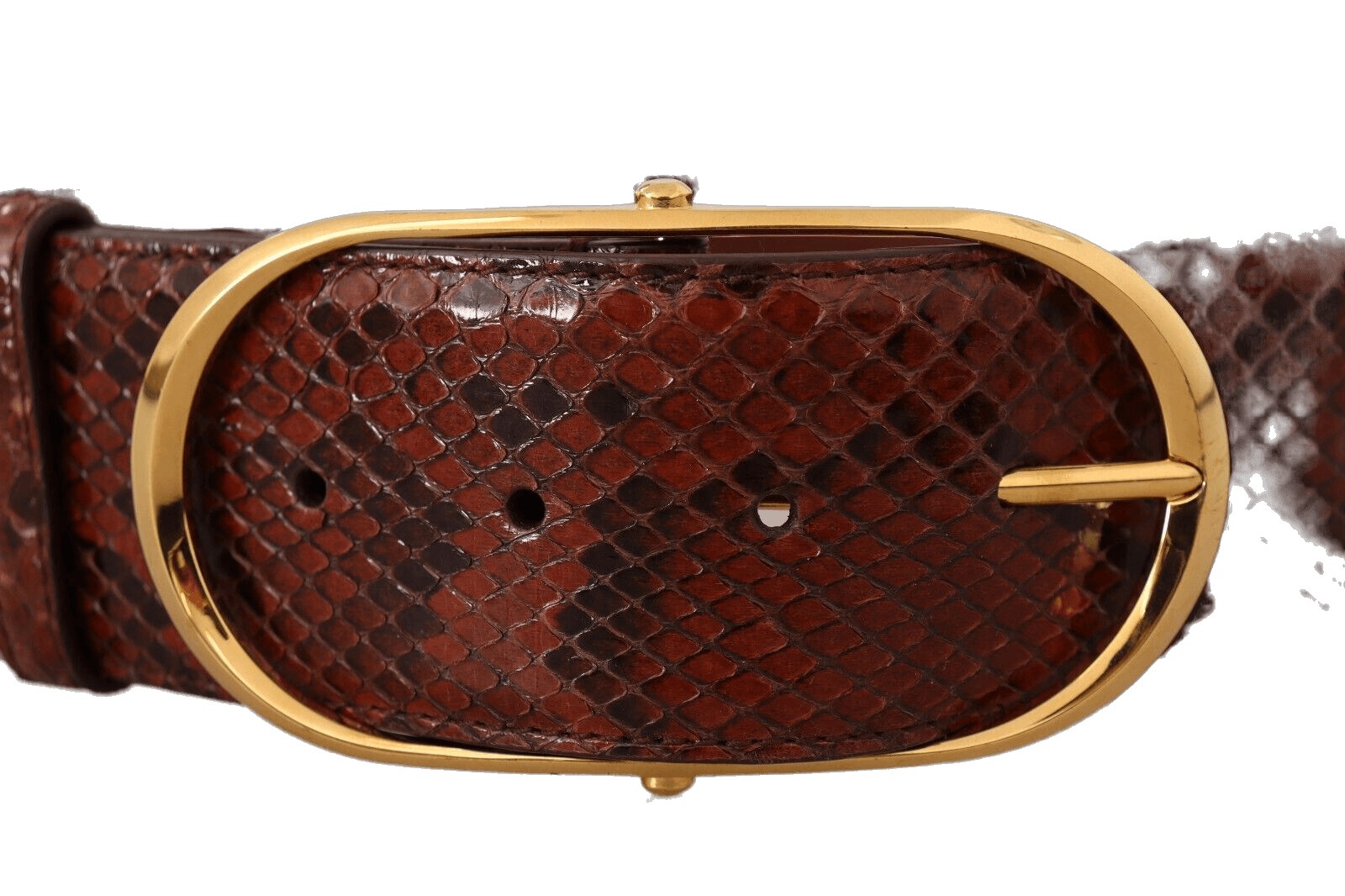 Dolce & Gabbana Brown Leather Exotic Gold Oval Buckle Belt Glam Steals
