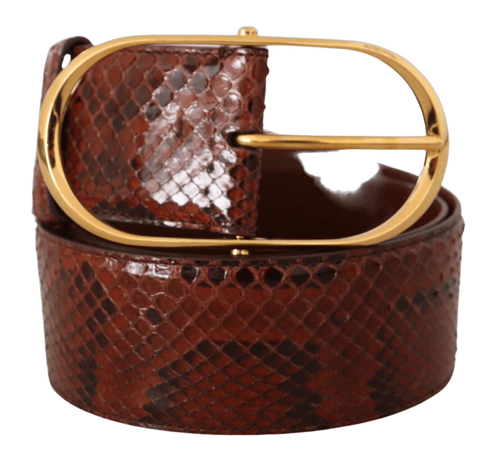 Dolce & Gabbana Brown Leather Exotic Gold Oval Buckle Belt Glam Steals