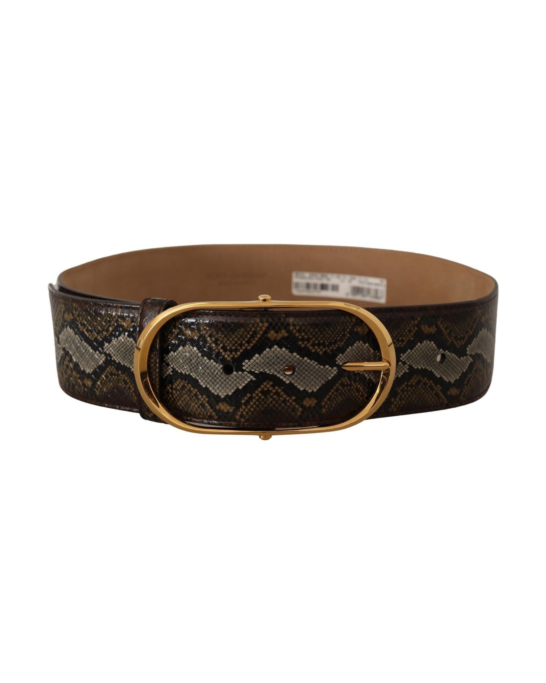 Dolce & Gabbana Brown Leather Python Gold Oval Buckle Belt Glam Steals