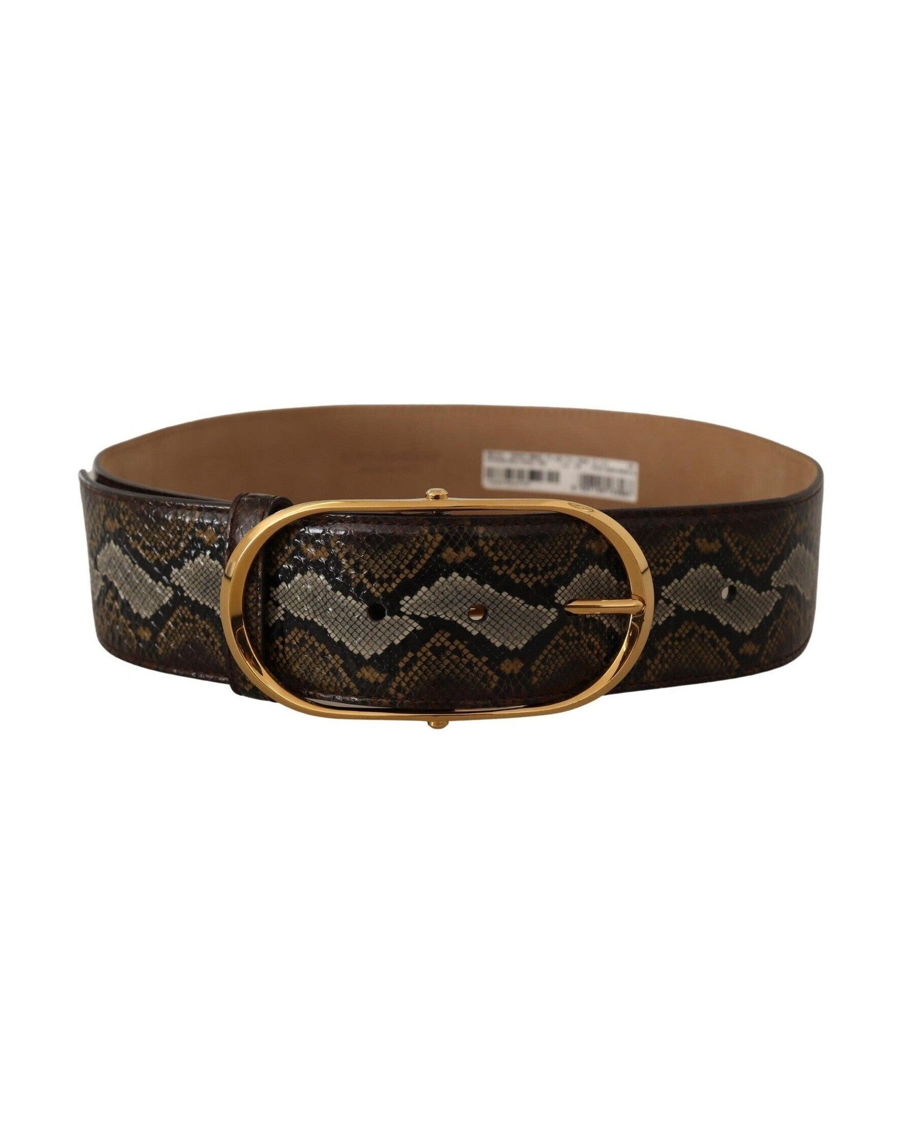 Dolce & Gabbana Brown Leather Python Gold Oval Buckle Belt Belts