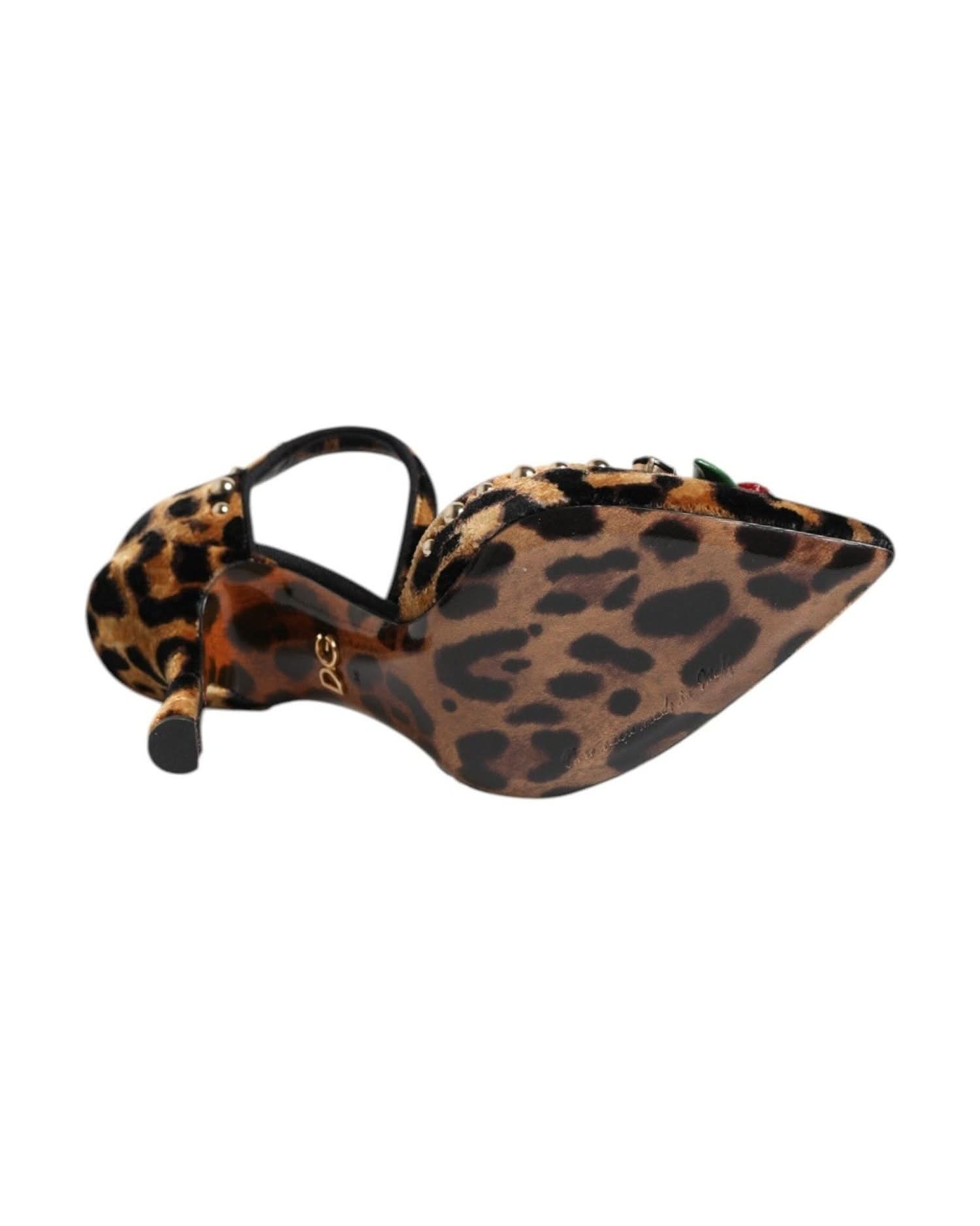 Dolce & Gabbana Brown Leopard Crystal Roses Pumps Shoes Heels
