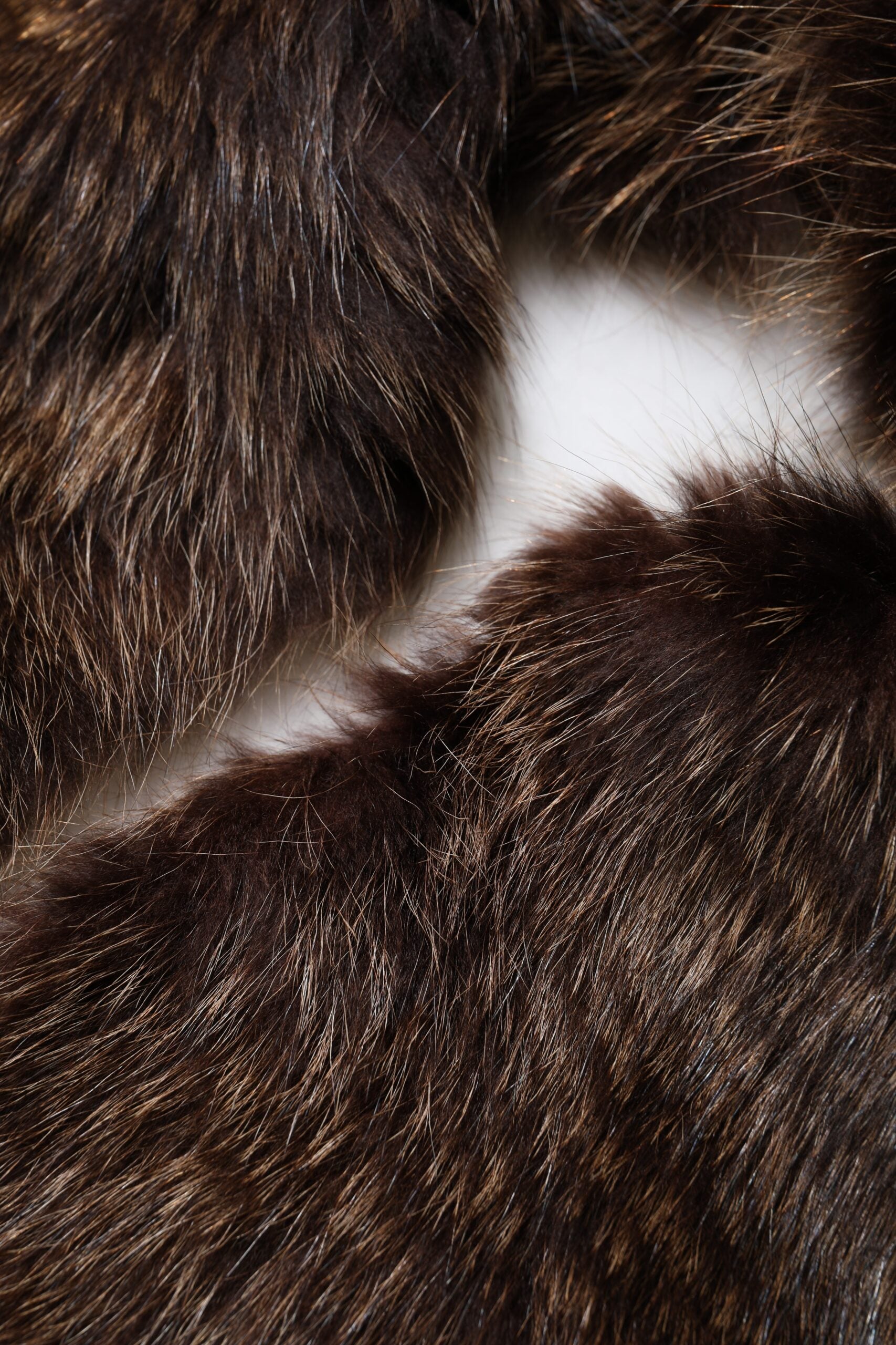 Dolce & Gabbana Brown Raccoon Fur Neck Warmer Winter Scarf Glam Steals