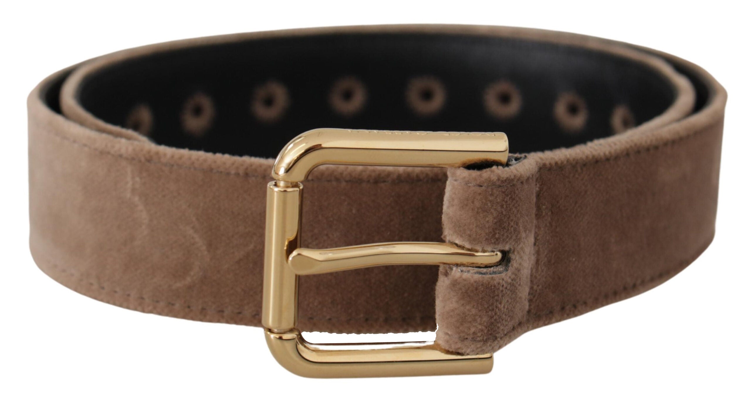 Dolce & Gabbana Brown Velvet Light Gold Tone Logo Metal Buckle Belt Glam Steals