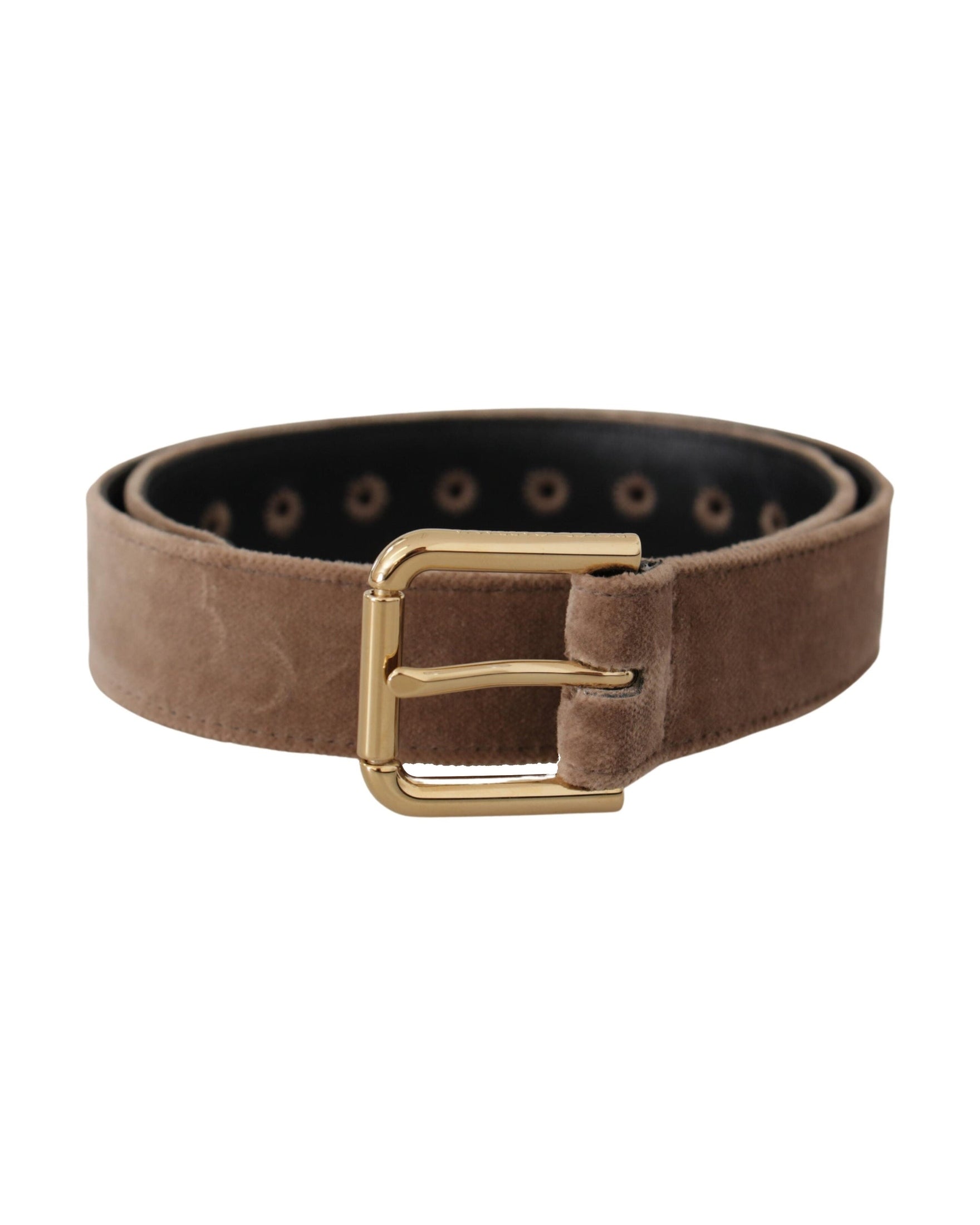 Dolce & Gabbana Brown Velvet Light Gold Tone Logo Metal Buckle Belt Belts