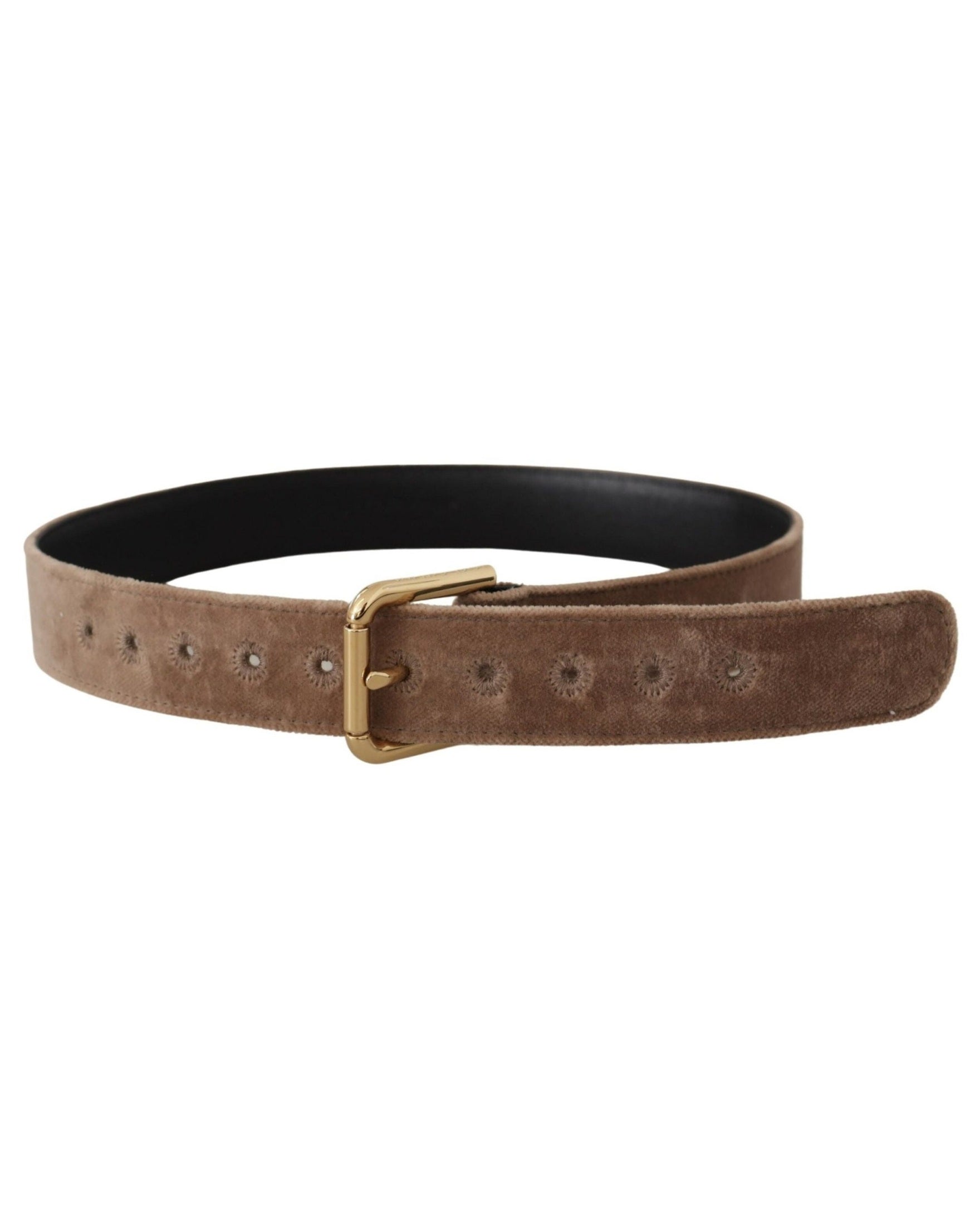 Dolce & Gabbana Brown Velvet Light Gold Tone Logo Metal Buckle Belt Belts