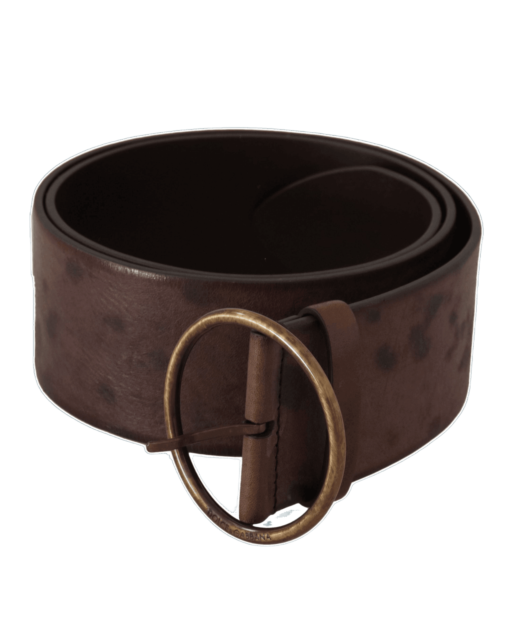 Dolce & Gabbana Dark Brown Leather Wide Calf Logo Round Buckle Belt Glam Steals