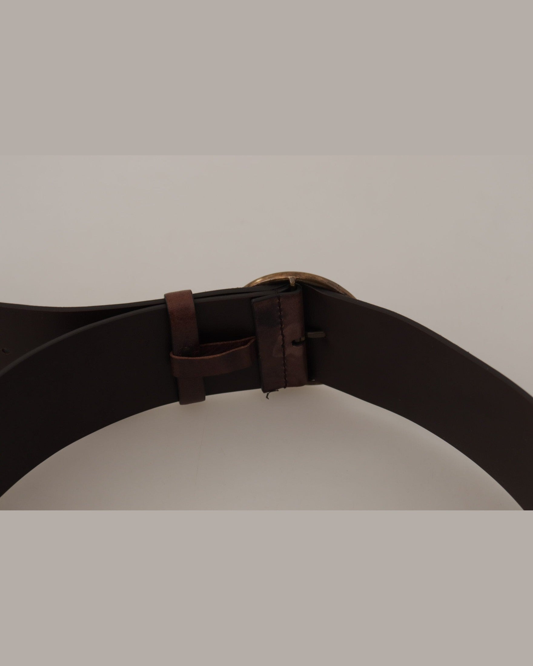 Dolce & Gabbana Dark Brown Leather Wide Calf Logo Round Buckle Belt Glam Steals