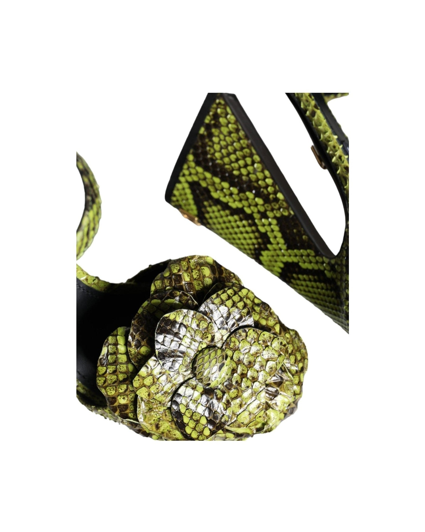 Dolce & Gabbana Green Exotic Leather Ankle Strap Heels Sandals Shoes Glam Steals