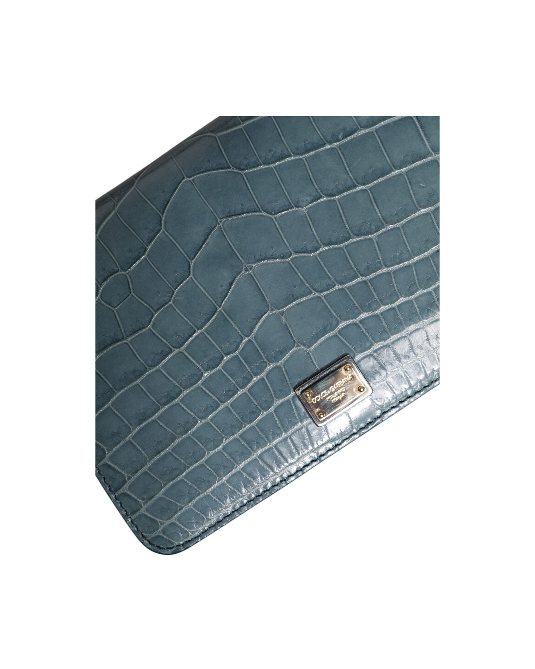 Dolce & Gabbana Green Leather Exotic Dg Plaque Crossbody Mini Bag Glam Steals