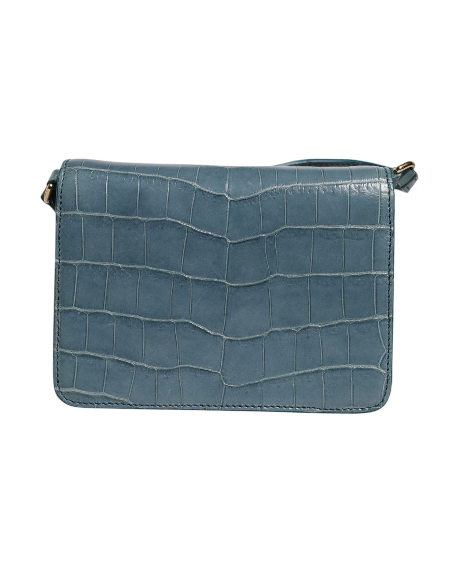 Dolce & Gabbana Green Leather Exotic Dg Plaque Crossbody Mini Bag Glam Steals