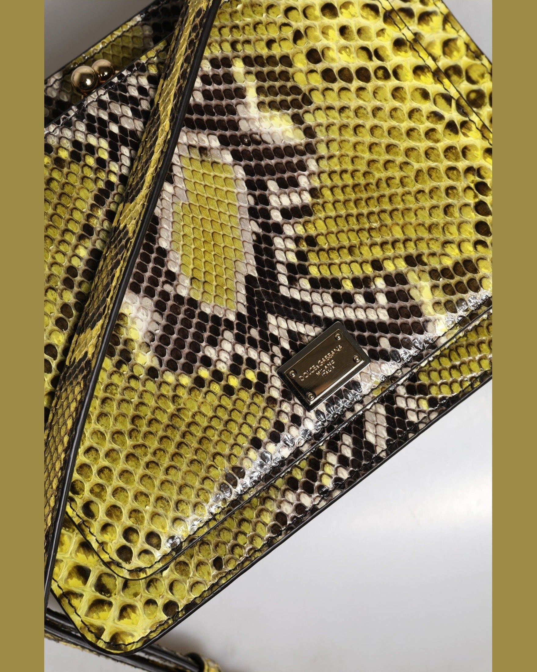 Dolce & Gabbana Green Leather Exotic Dg Plaque Crossbody Clutch Bag Glam Steals