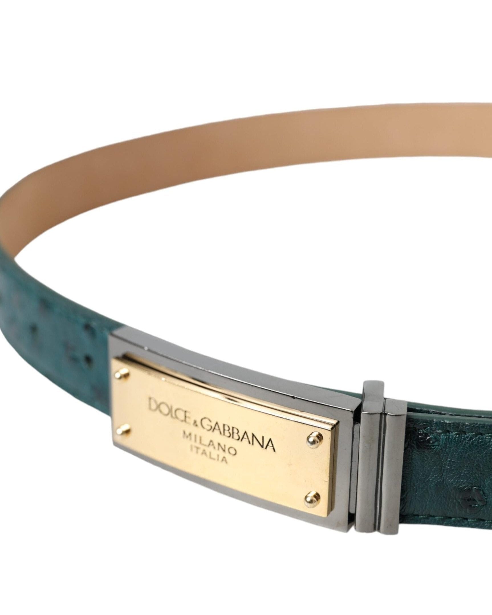 Dolce & Gabbana Green Leather Gold Logo Engraved Buckle Belt Belts