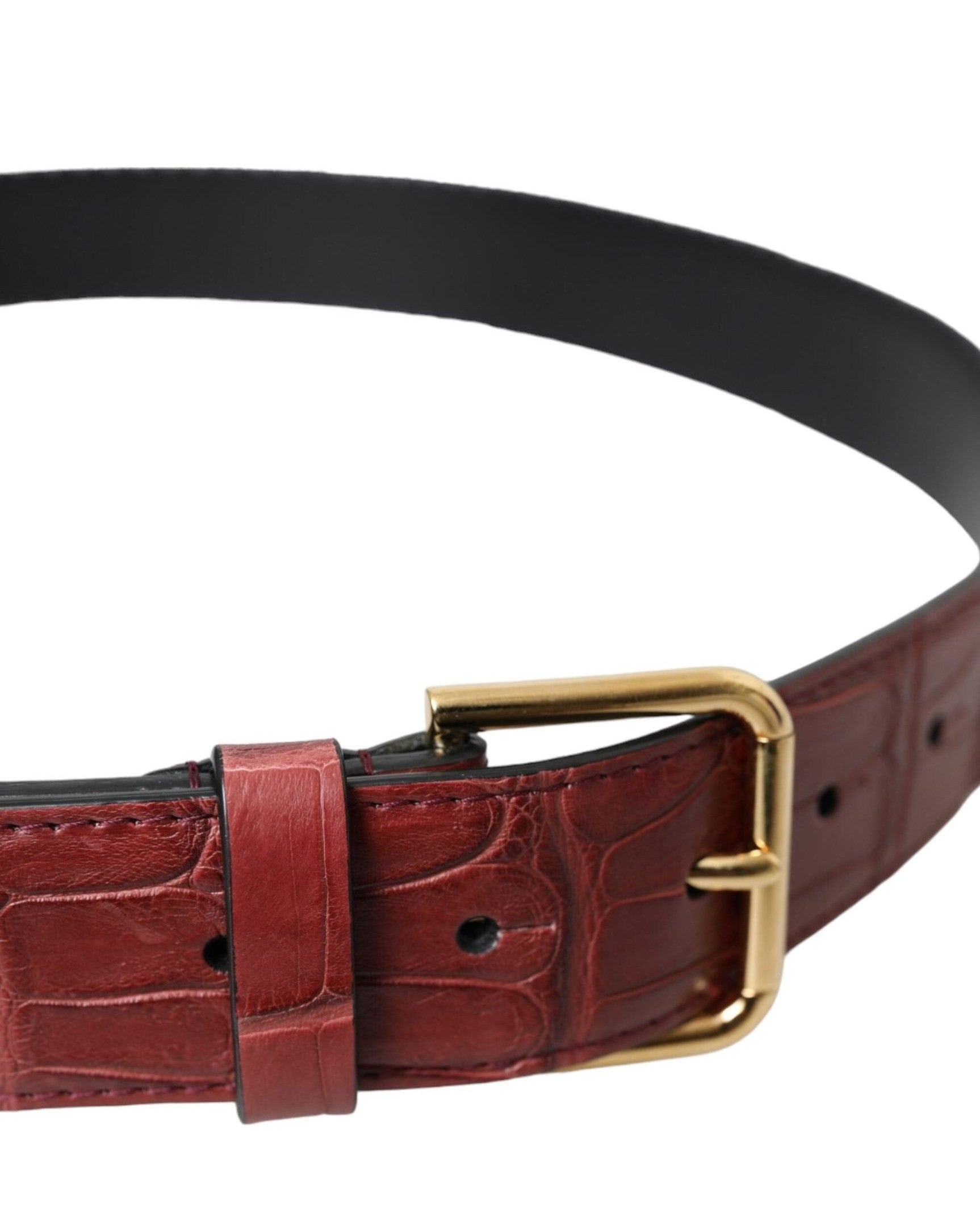 Dolce & Gabbana Leather Alligator Studded Metal Buckle Belt Belts