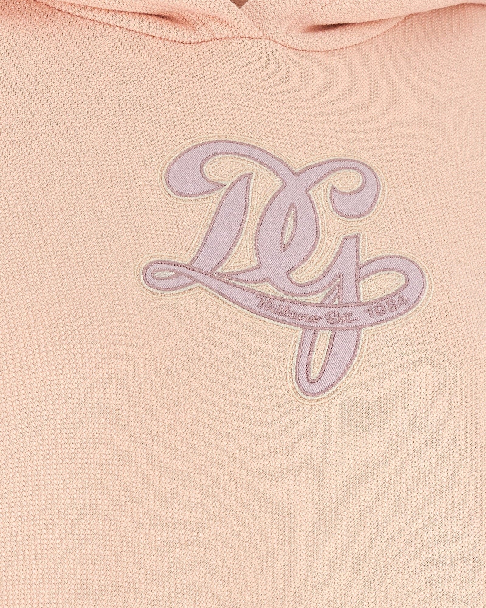 Dolce & Gabbana Logo Embroidery Hoodie Glam Steals