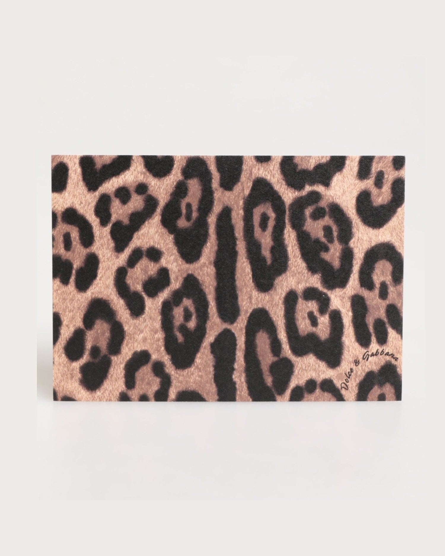 Dolce & Gabbana Multicolor Leopard Print Envelope Paper Post Card Holder Glam Steals