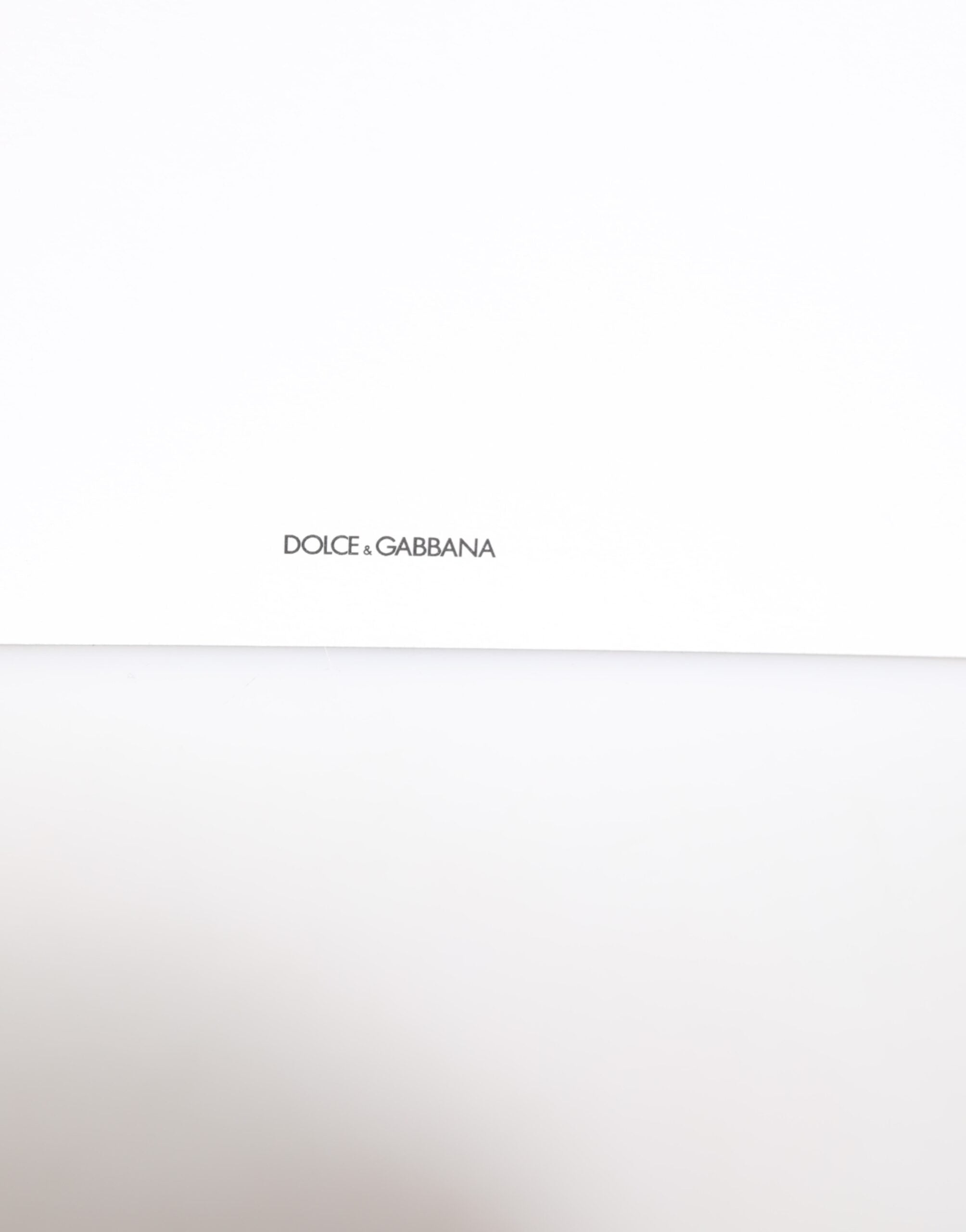 Dolce & Gabbana Multicolor Leopard Print Envelope Paper Post Card Holder Glam Steals