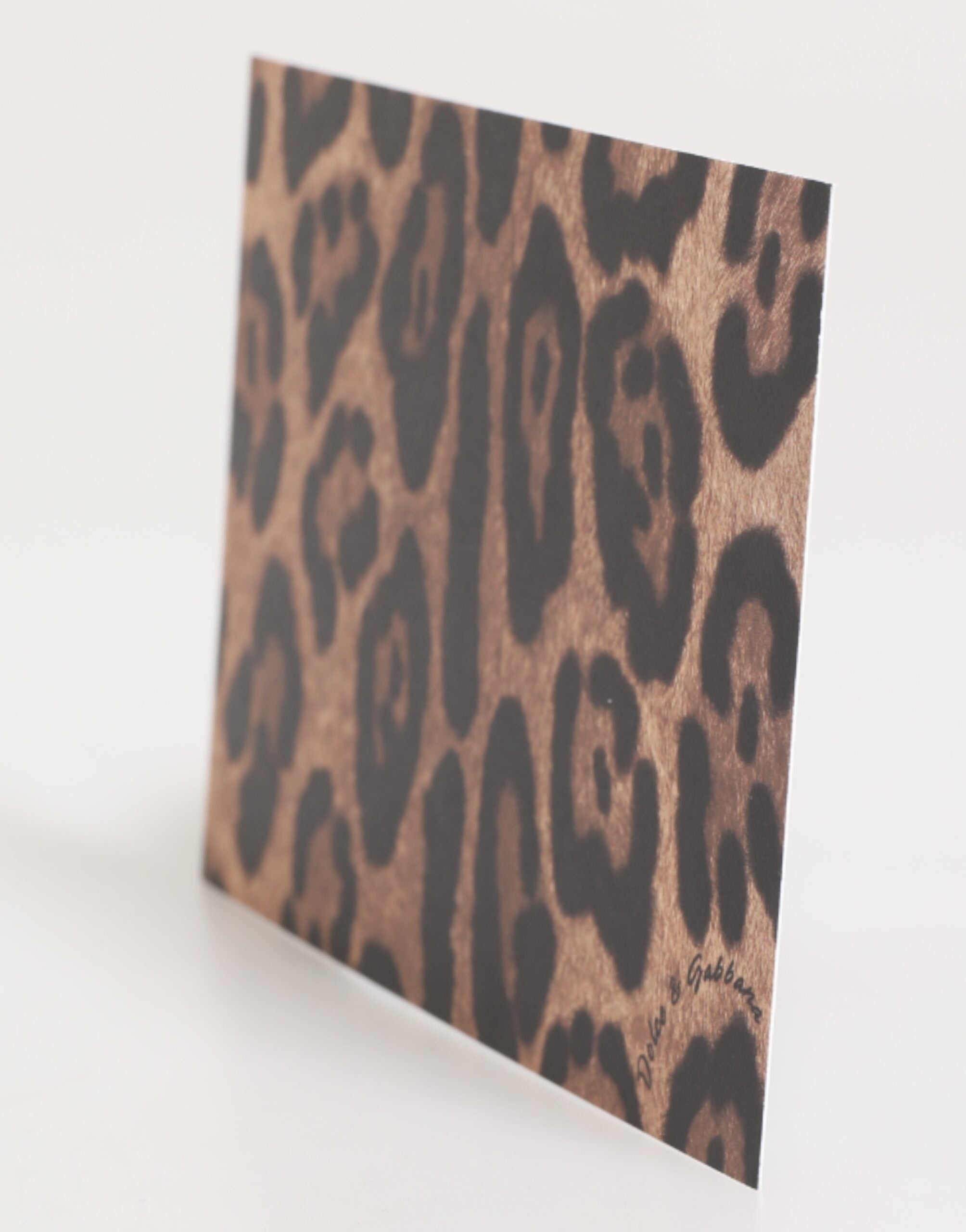 Dolce & Gabbana Multicolor Leopard Print Envelope Paper Post Card Holder Glam Steals
