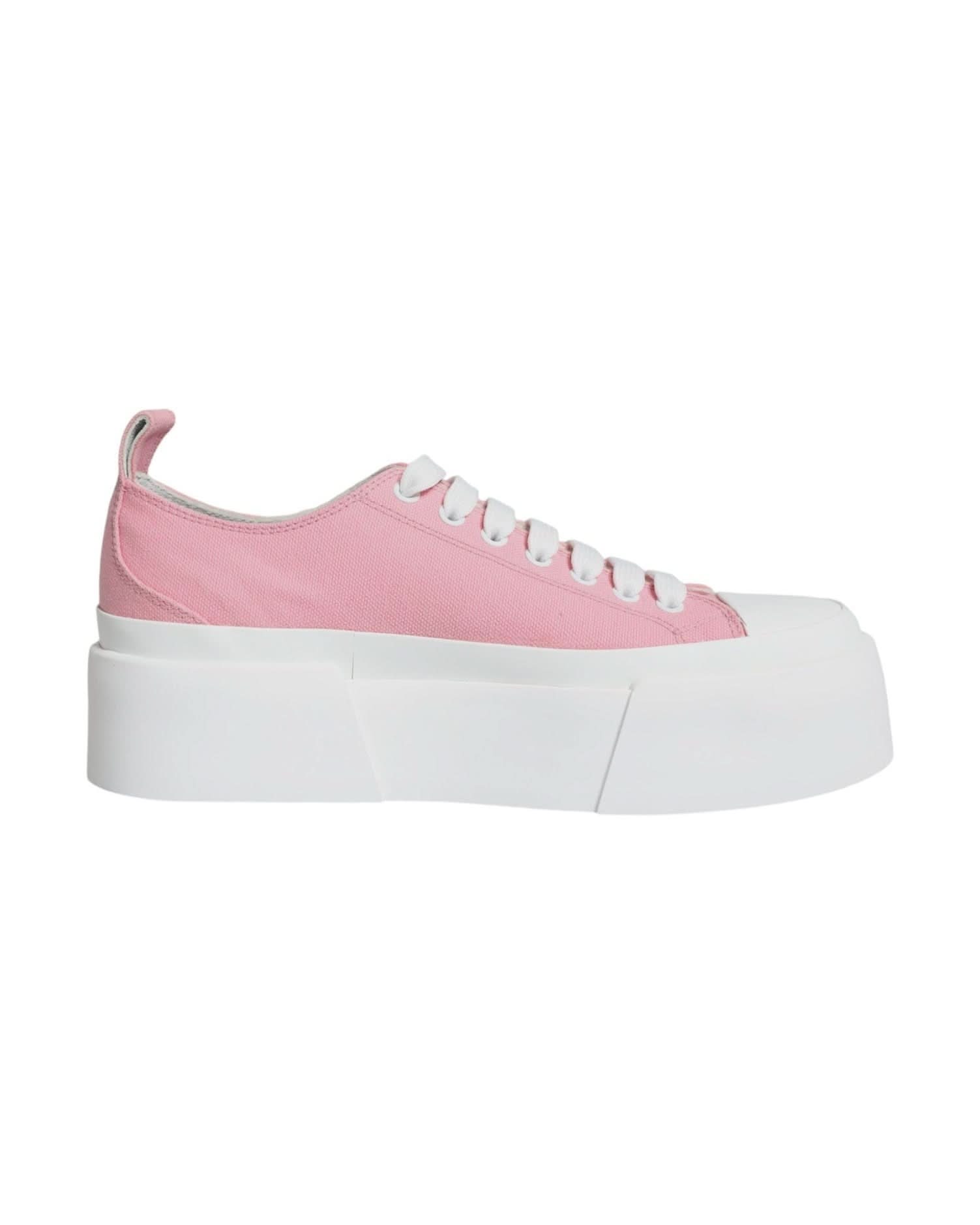 Dolce & Gabbana Pink Canvas Logo Low Top Sneakers Shoes Sneakers