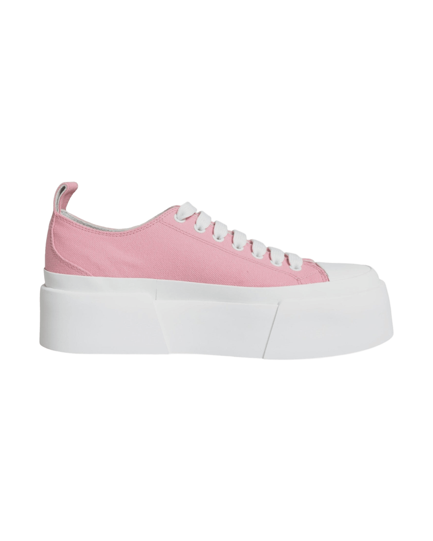 Dolce & Gabbana Pink Canvas Logo Low Top Sneakers Shoes Sneakers