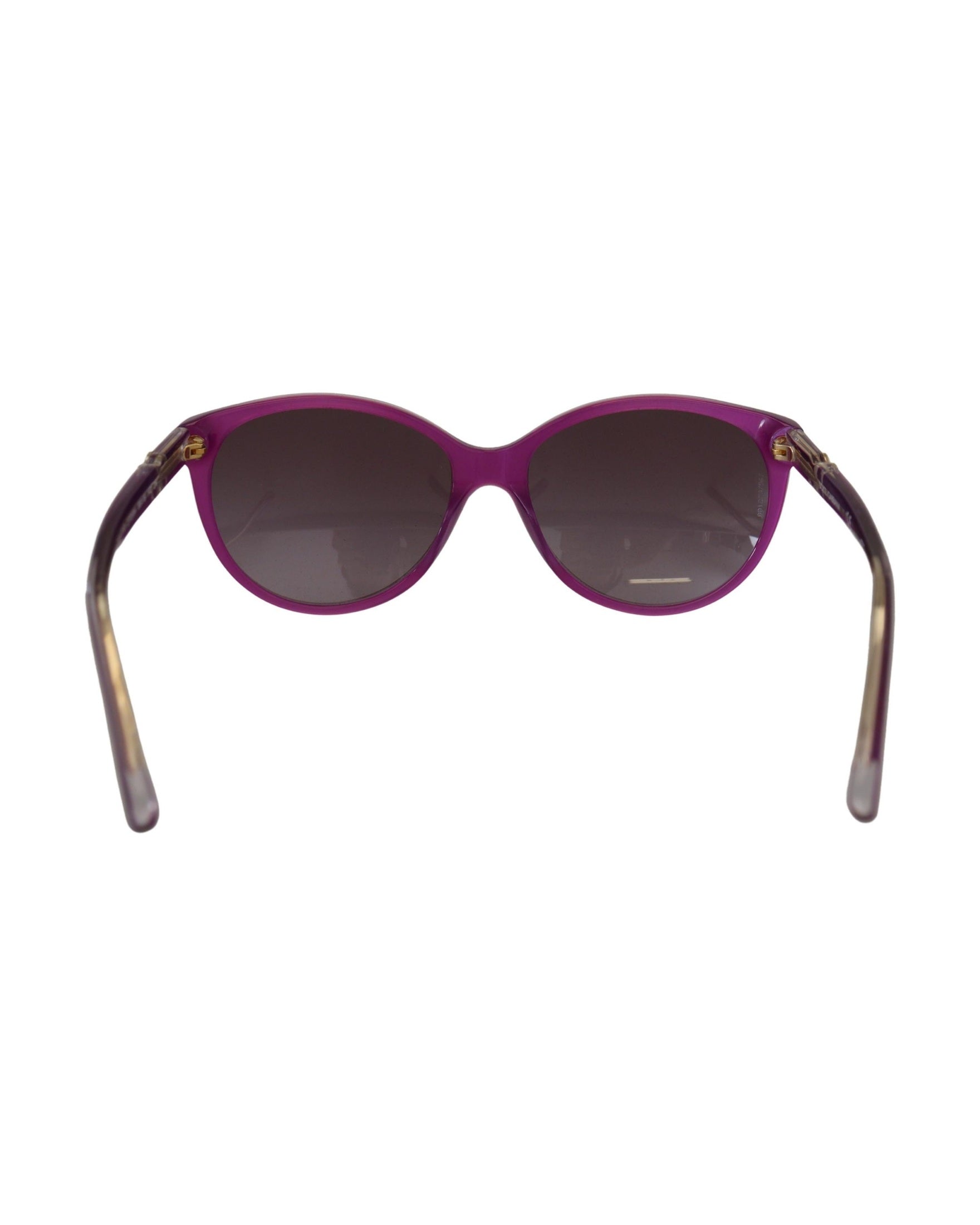 Dolce & Gabbana Purple Acetate Frame Round Sunglasses Glam Steals
