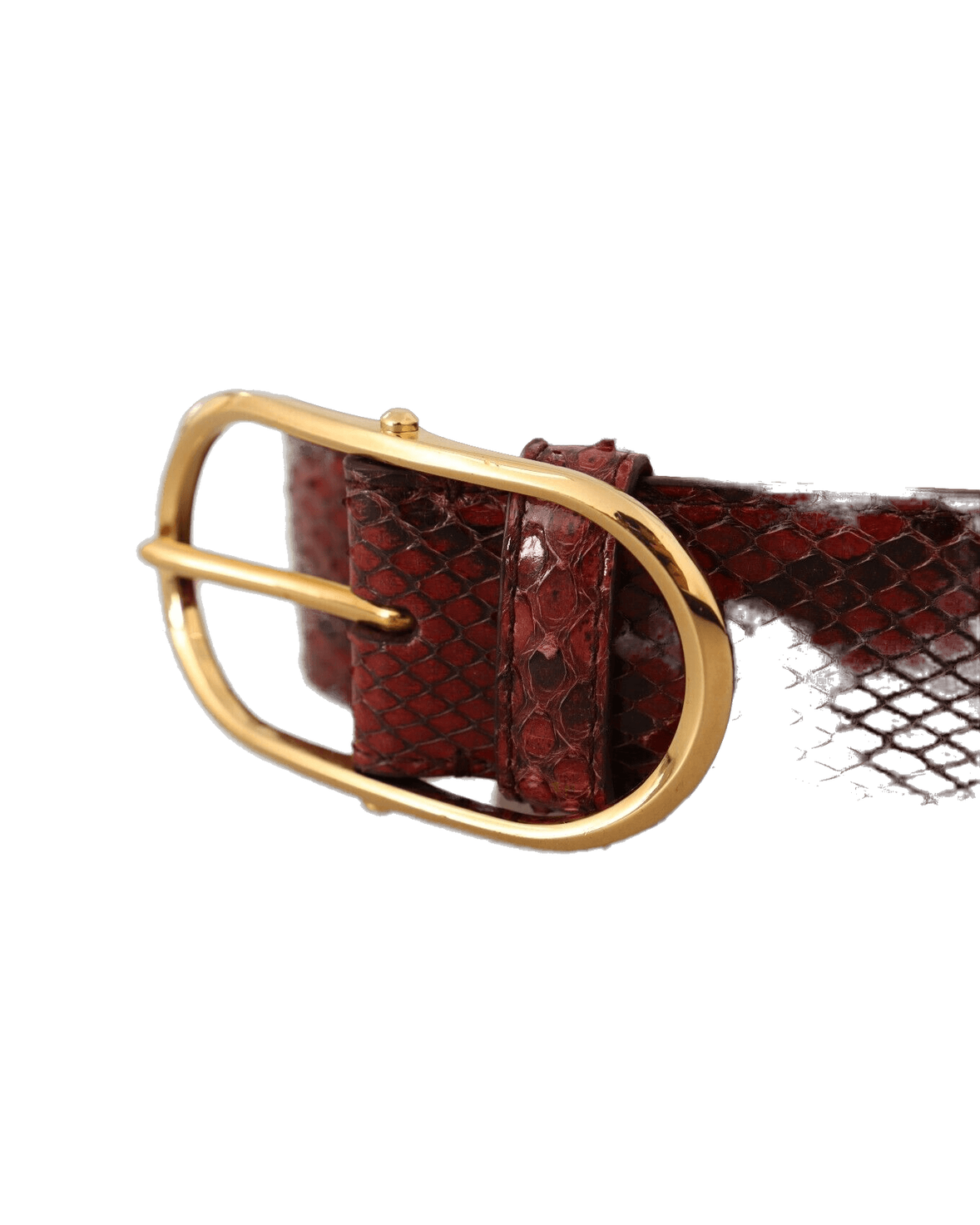 Dolce & Red Gabbana Leather Exotic Oval Buckle Belt Glam Steals