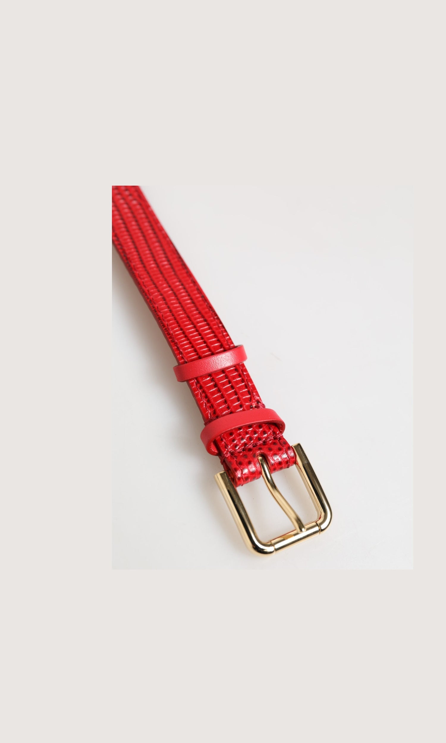 Dolce & Gabbana Red Leather Exotic Gold Tone Metal Buckle Women Armband Glam Steals