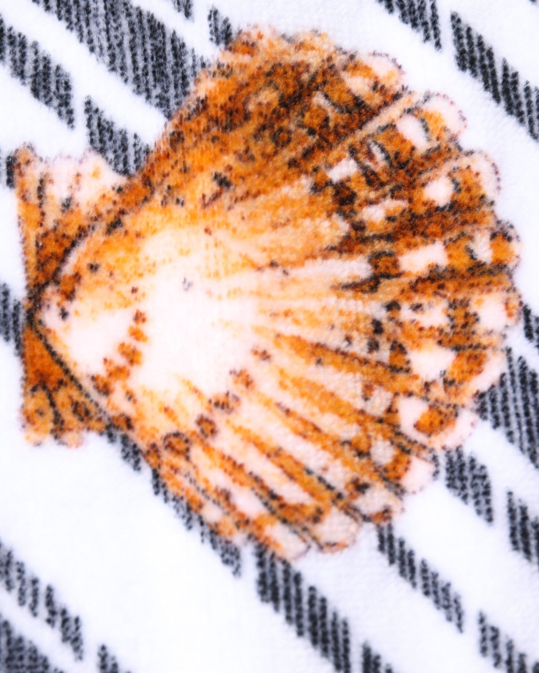 Dolce & Gabbana Stripes Seashells Beach Multicolor Towel Glam Steals