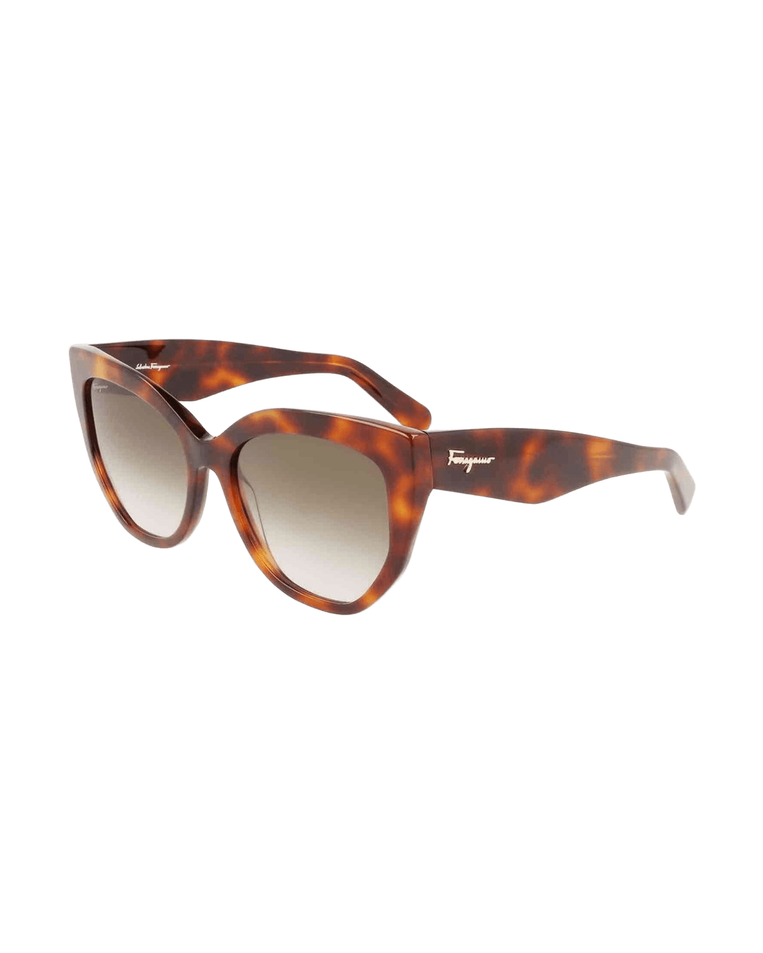 Ferragamo Acetate Brown Sunglasses Glam Steals