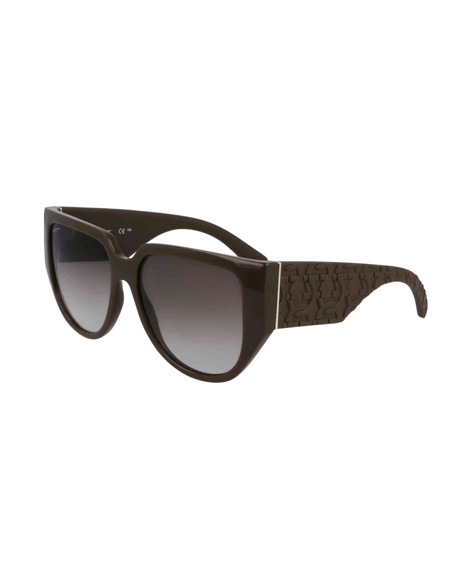 Ferragamo Bio Green Injected Sunglasses Sunglasses