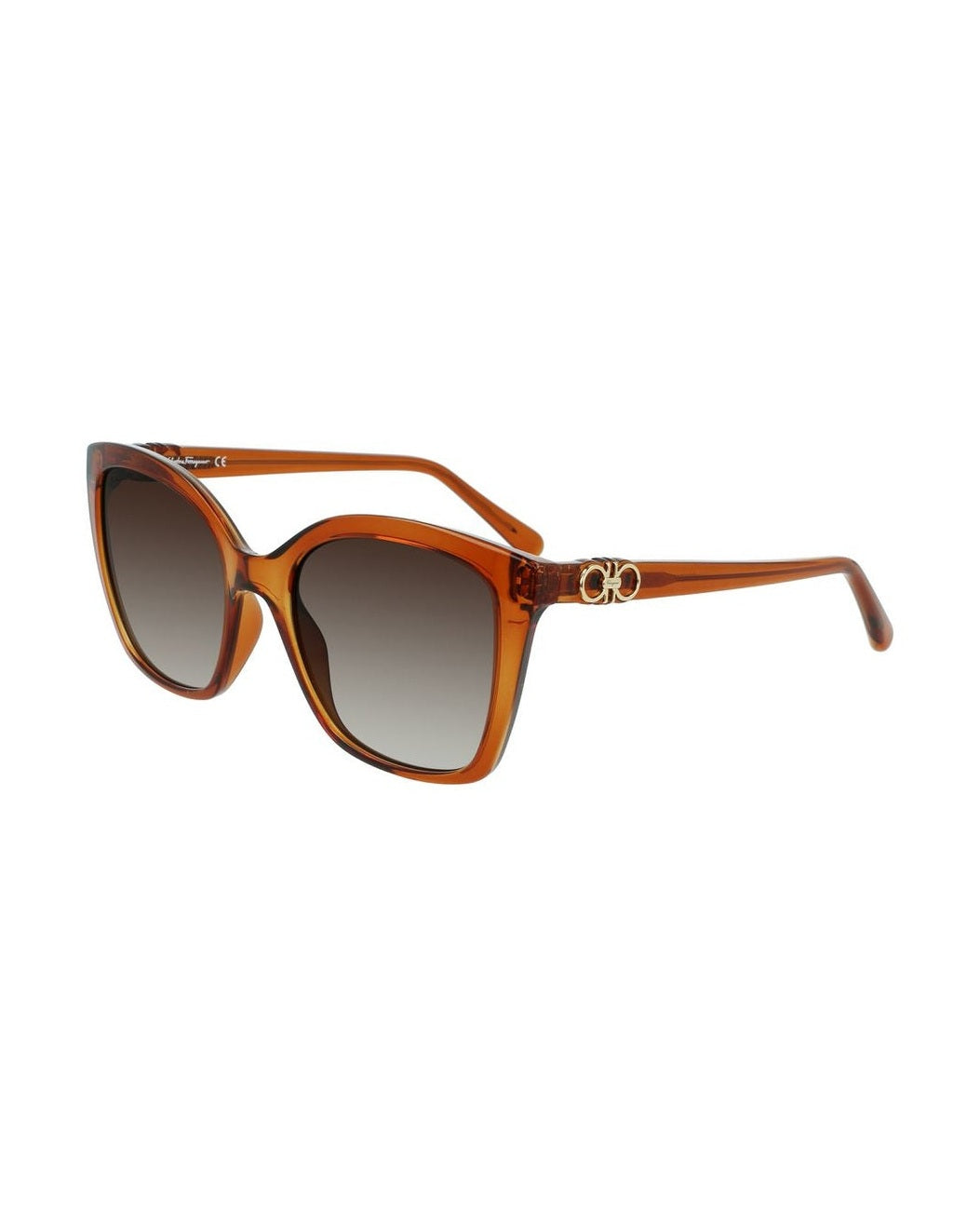Ferragamo Brown Injected Sunglasses