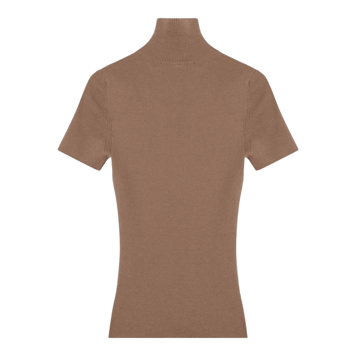 Max Mara Camel Wool Turtleneck Glam Steals