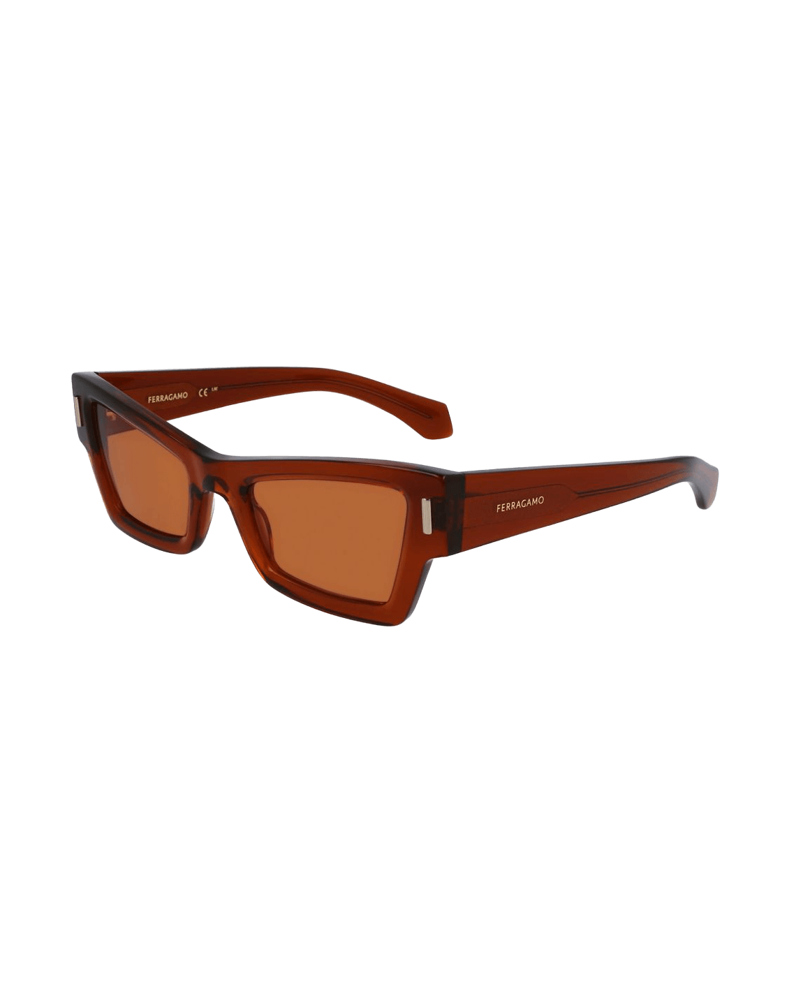 Salvatore Ferragamo Brown Acetate Sunglasses Sunglasses
